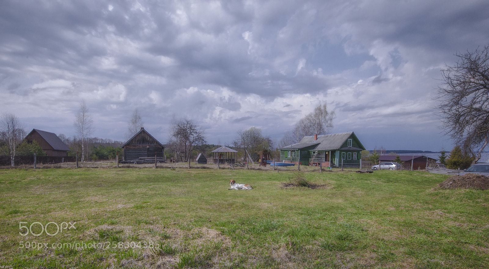 Canon EOS 6D sample photo. Rest on its territory photography