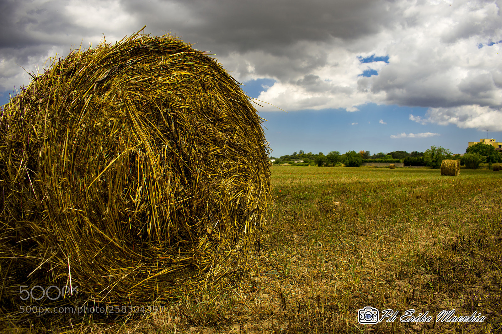 Nikon D3400 sample photo. Country style photography