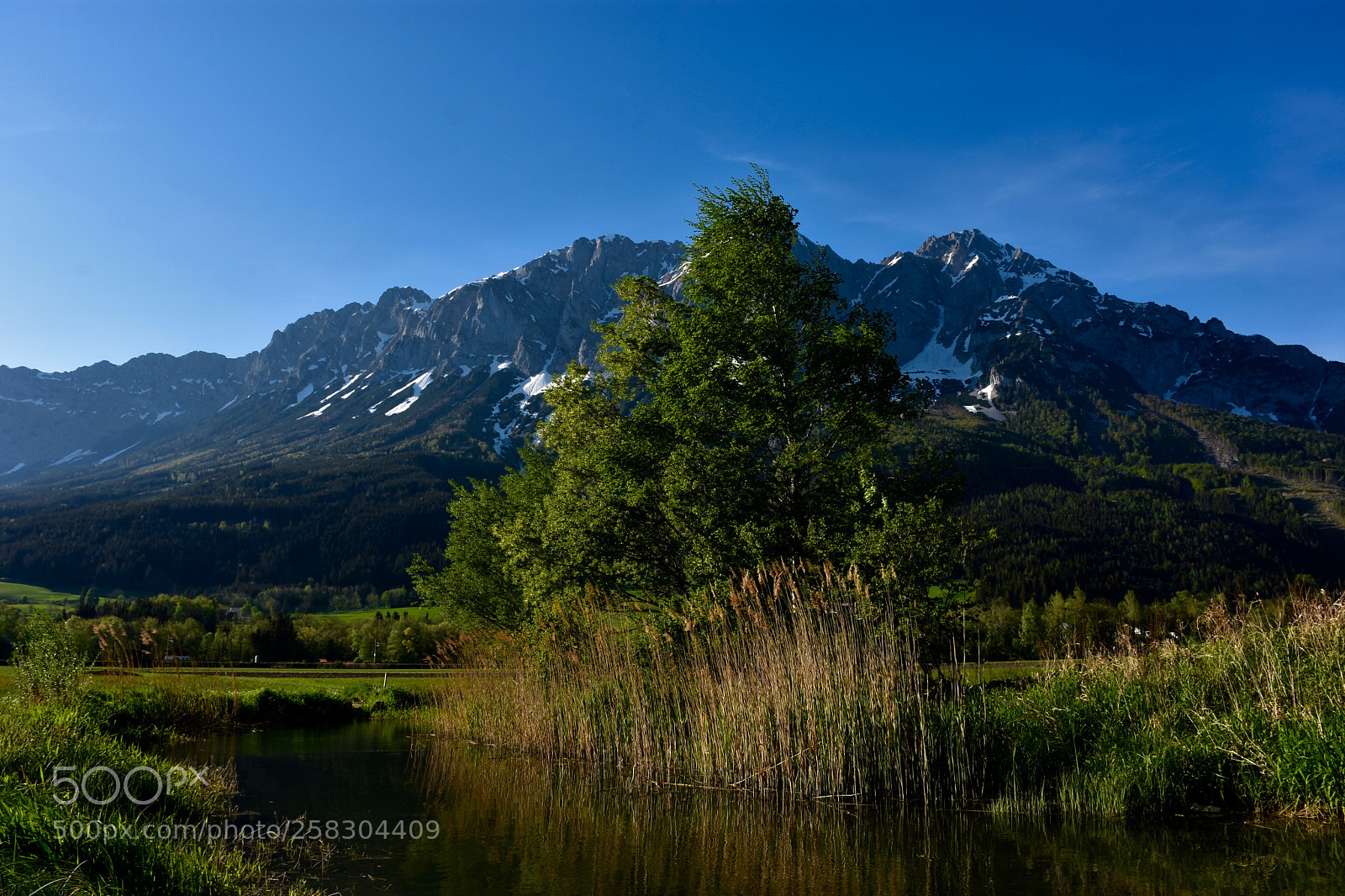 Nikon D7200 sample photo. Upper styria photography