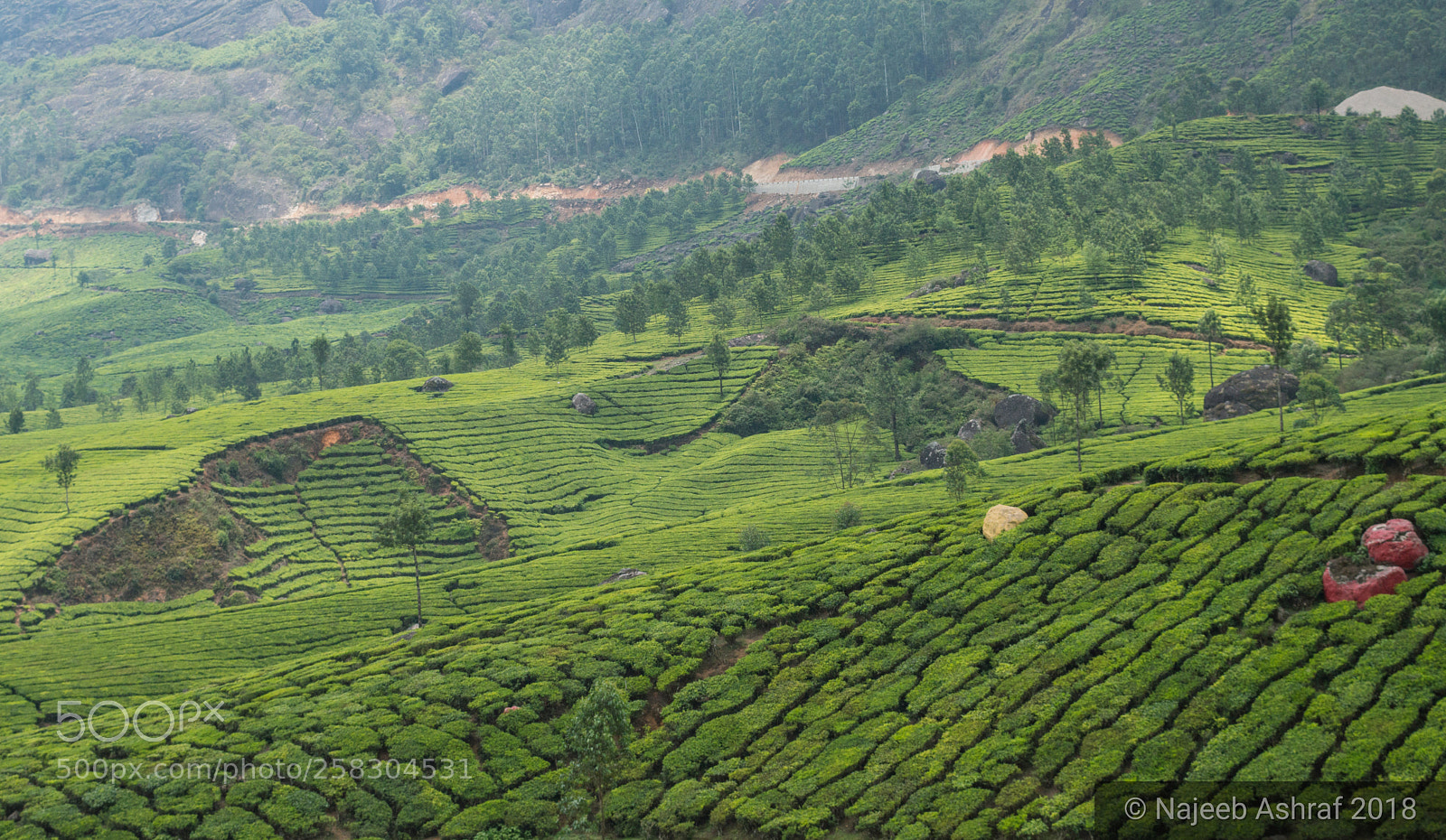 Nikon D3200 sample photo. Valley of munnar photography