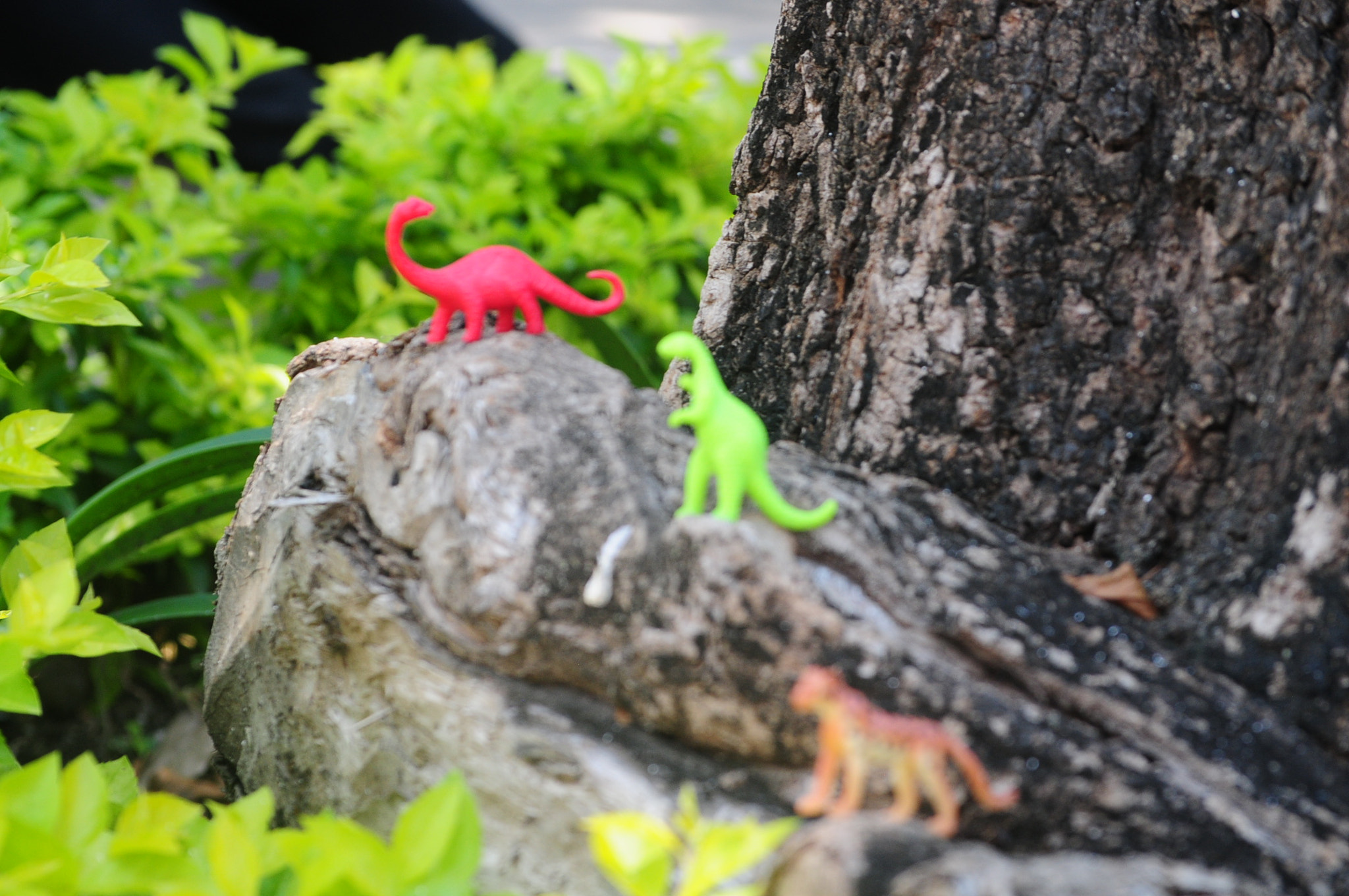 Nikon D300 sample photo. Profundidad de campo photography