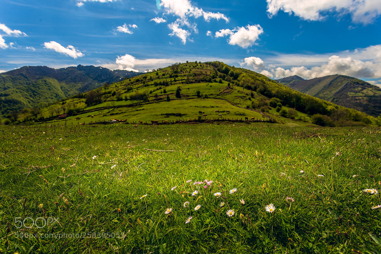 Canon EOS 6D sample photo. Montes en quiros photography