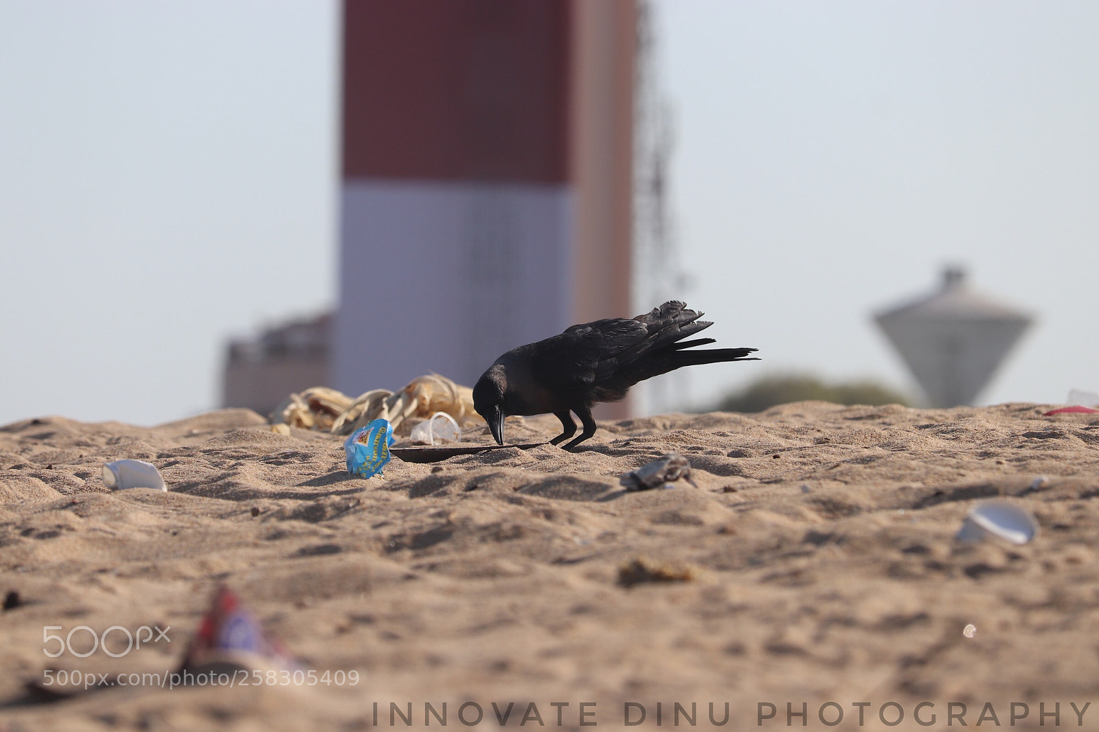 Canon EOS 200D (EOS Rebel SL2 / EOS Kiss X9) sample photo. குப்பைகளை தயவுசெய்து குப்பைதொட்டியில் போடச் செய்யு ... photography
