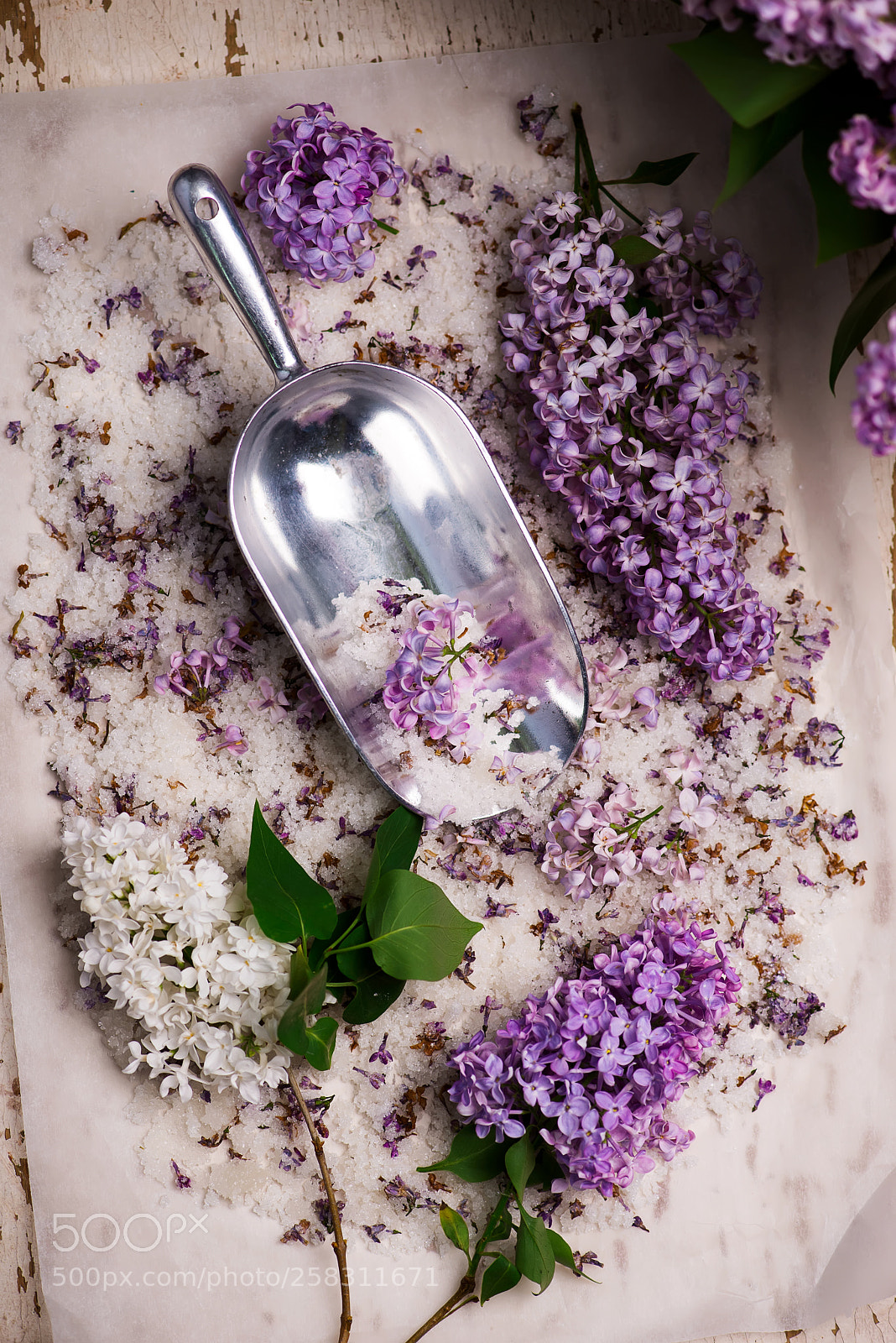 Nikon D610 sample photo. Lilac sugar in glass photography