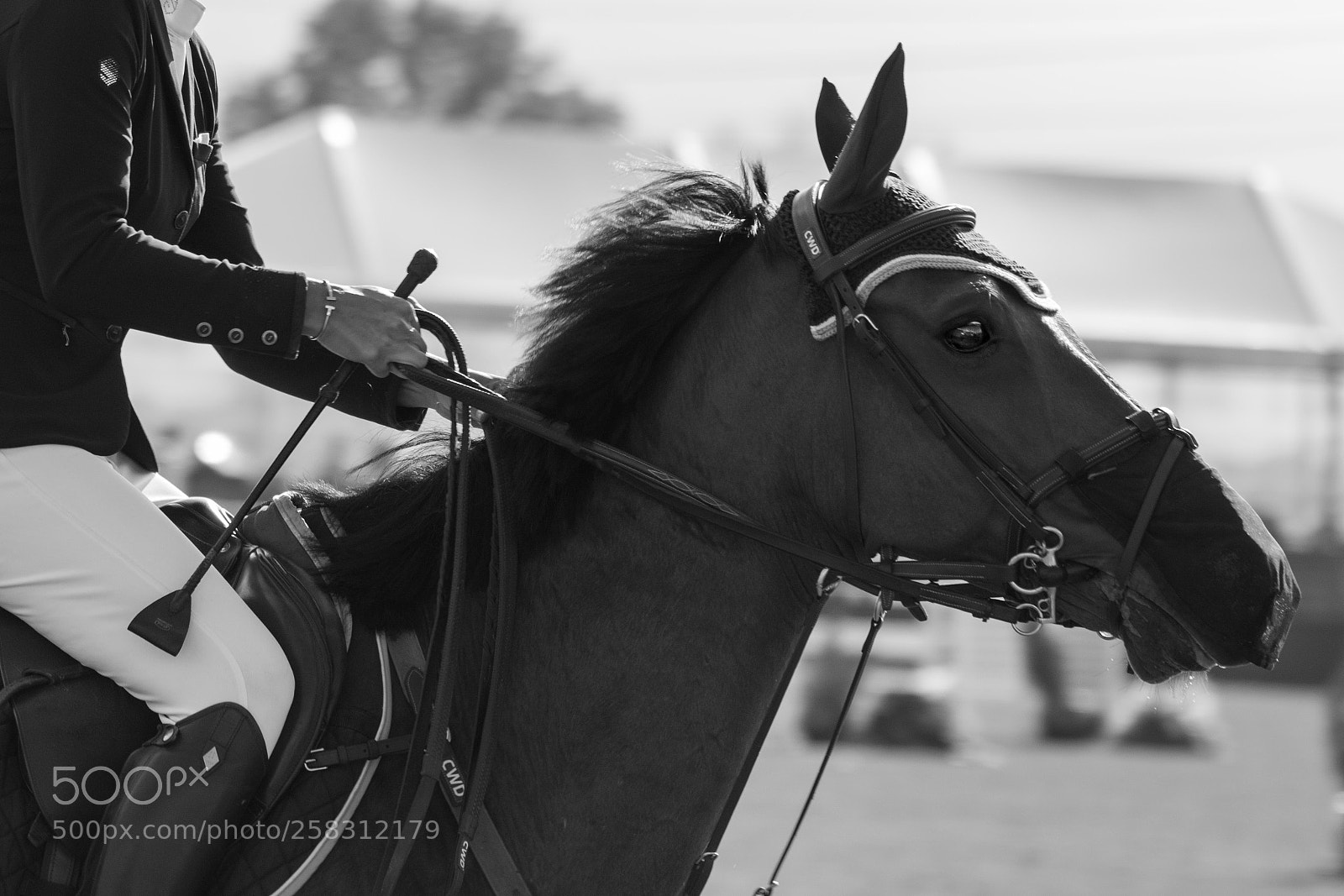 Canon EOS 7D Mark II sample photo. Photo essay photography
