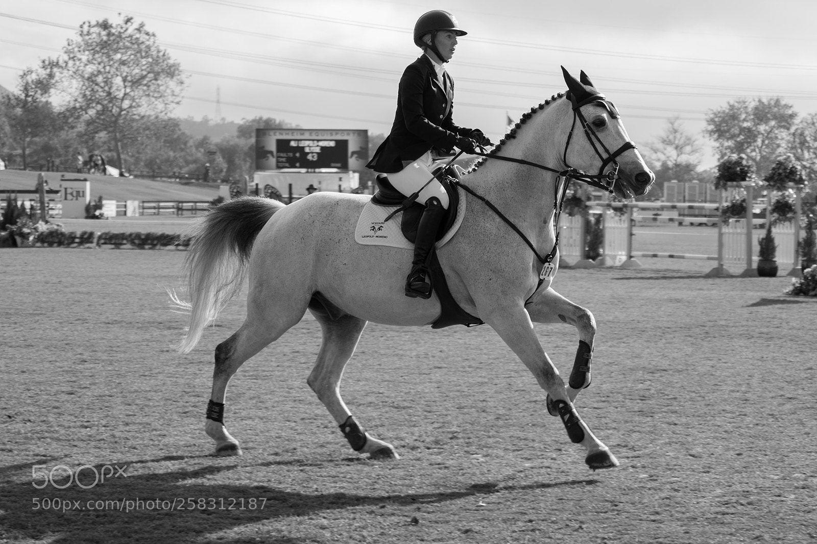 Canon EOS 7D Mark II sample photo. Photo essay photography