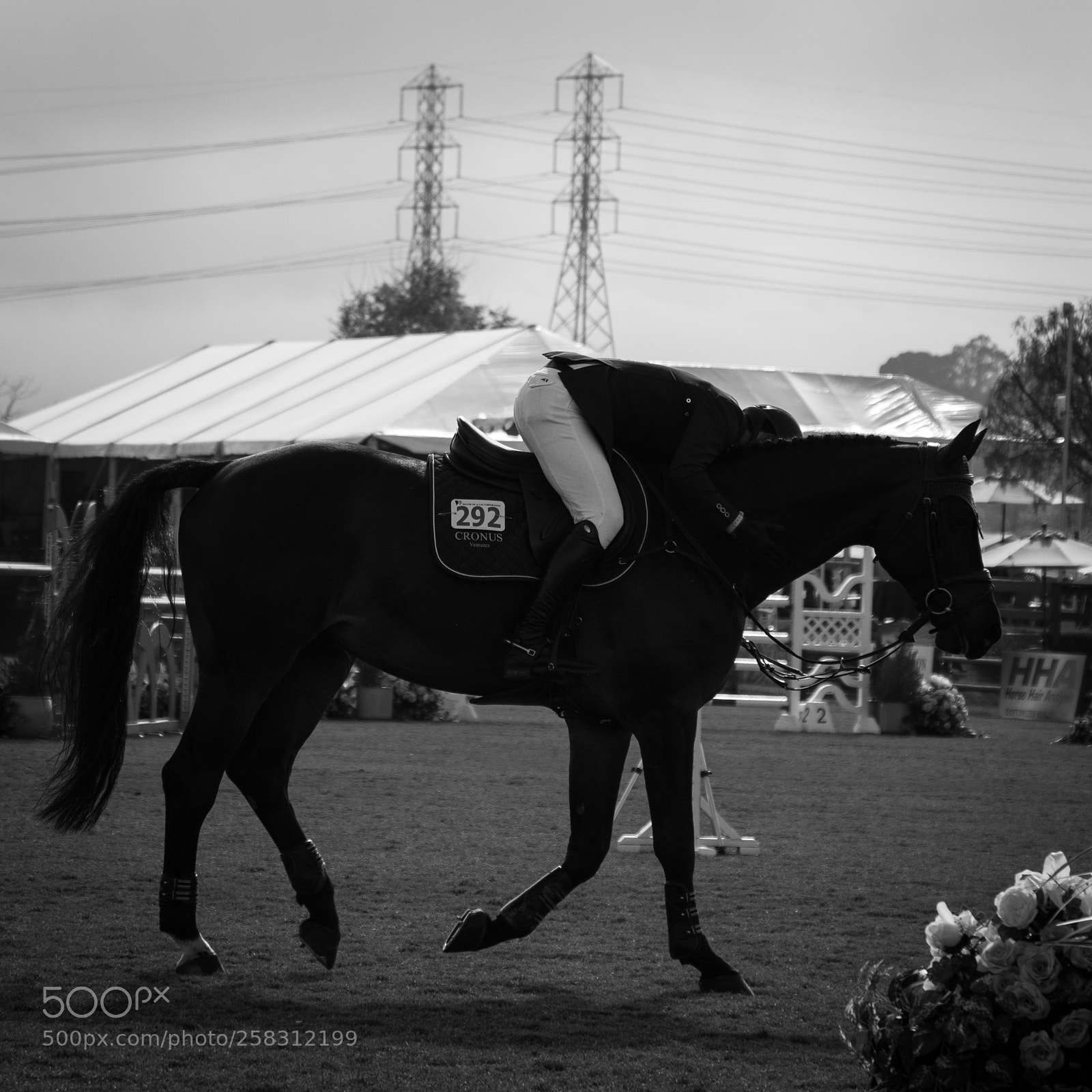 Canon EOS 7D Mark II sample photo. Photo essay photography