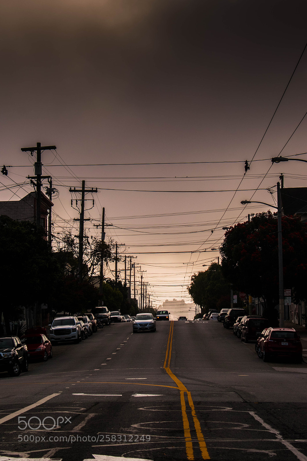 Nikon D5300 sample photo. Independent project 1 photography