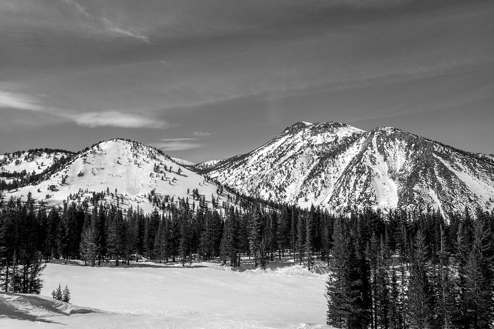 Olympus TG-3 sample photo. Pretty snow, nice glow photography
