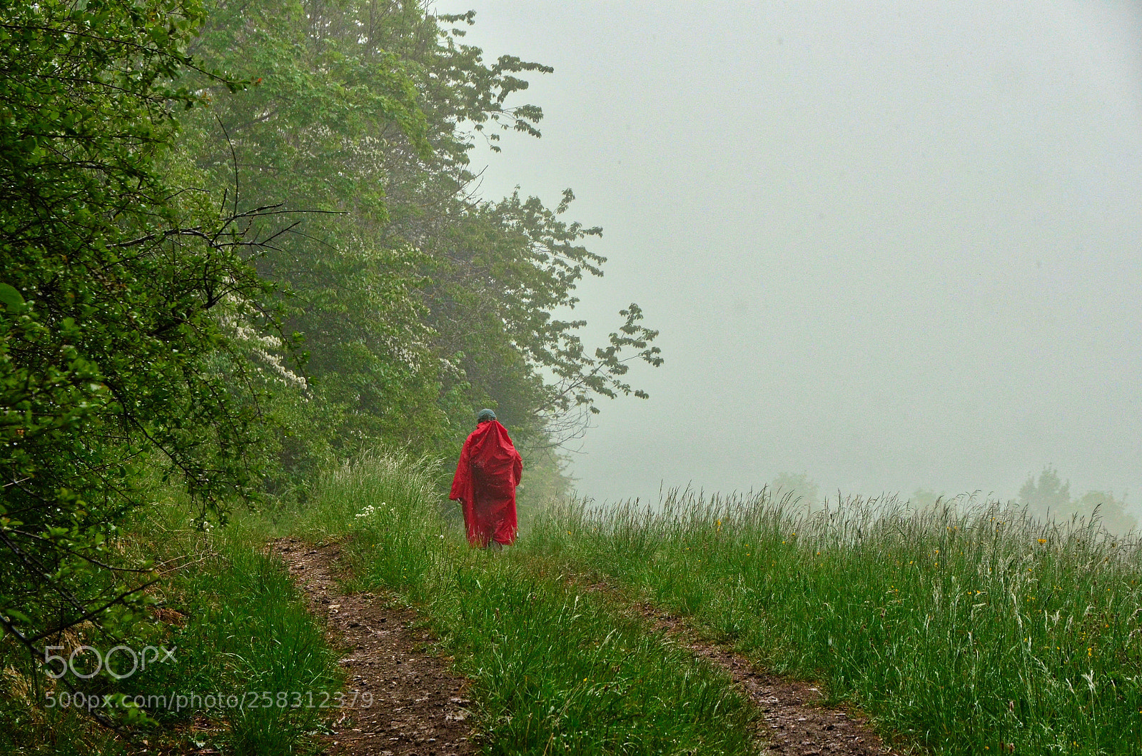 Nikon D5100 sample photo. Red riding hood washed photography