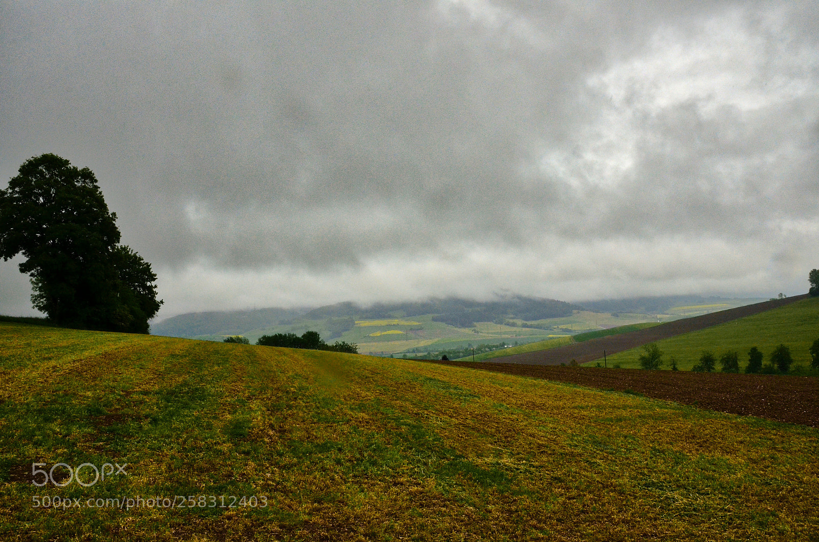 Nikon D5100 sample photo. The stretching fields photography
