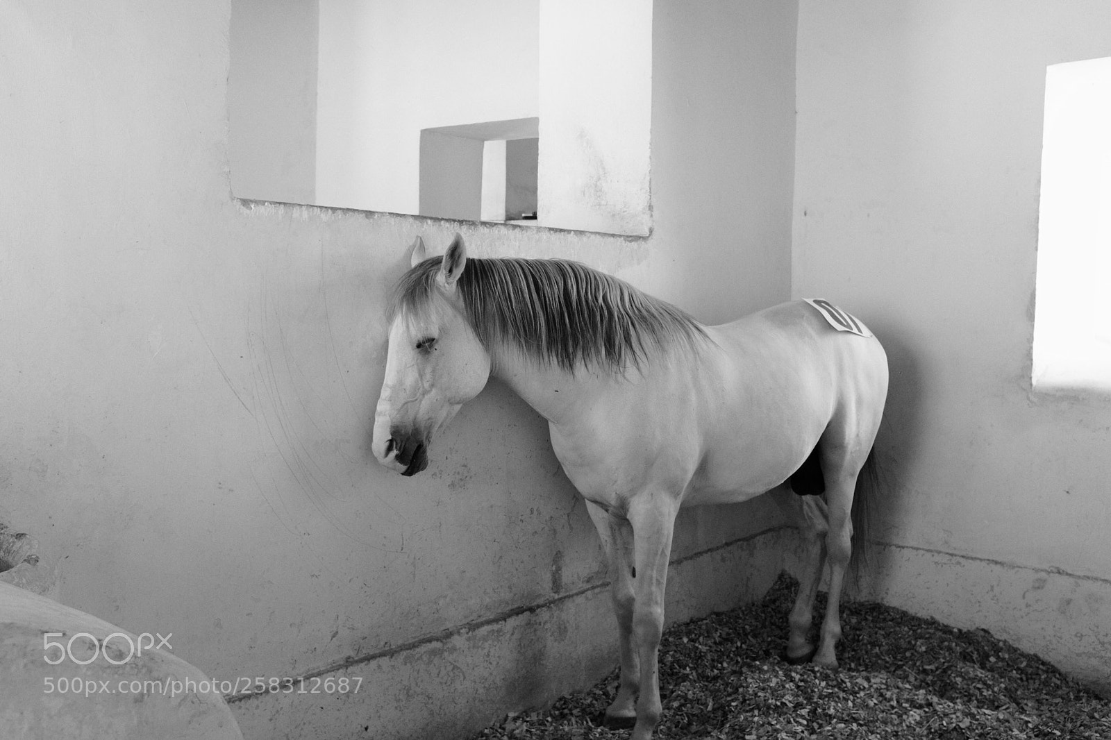 Fujifilm X100T sample photo. Doha, qatar photography