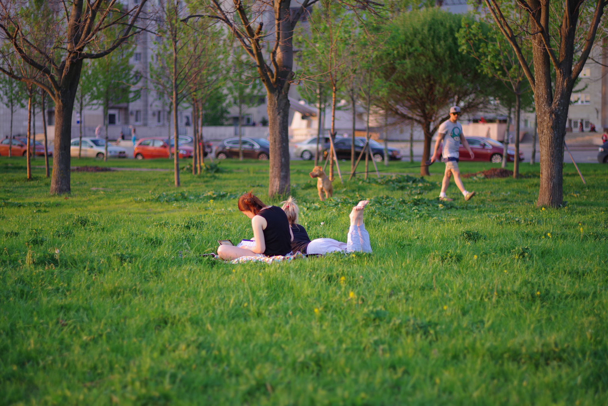 Pentax K-1 Mark II sample photo