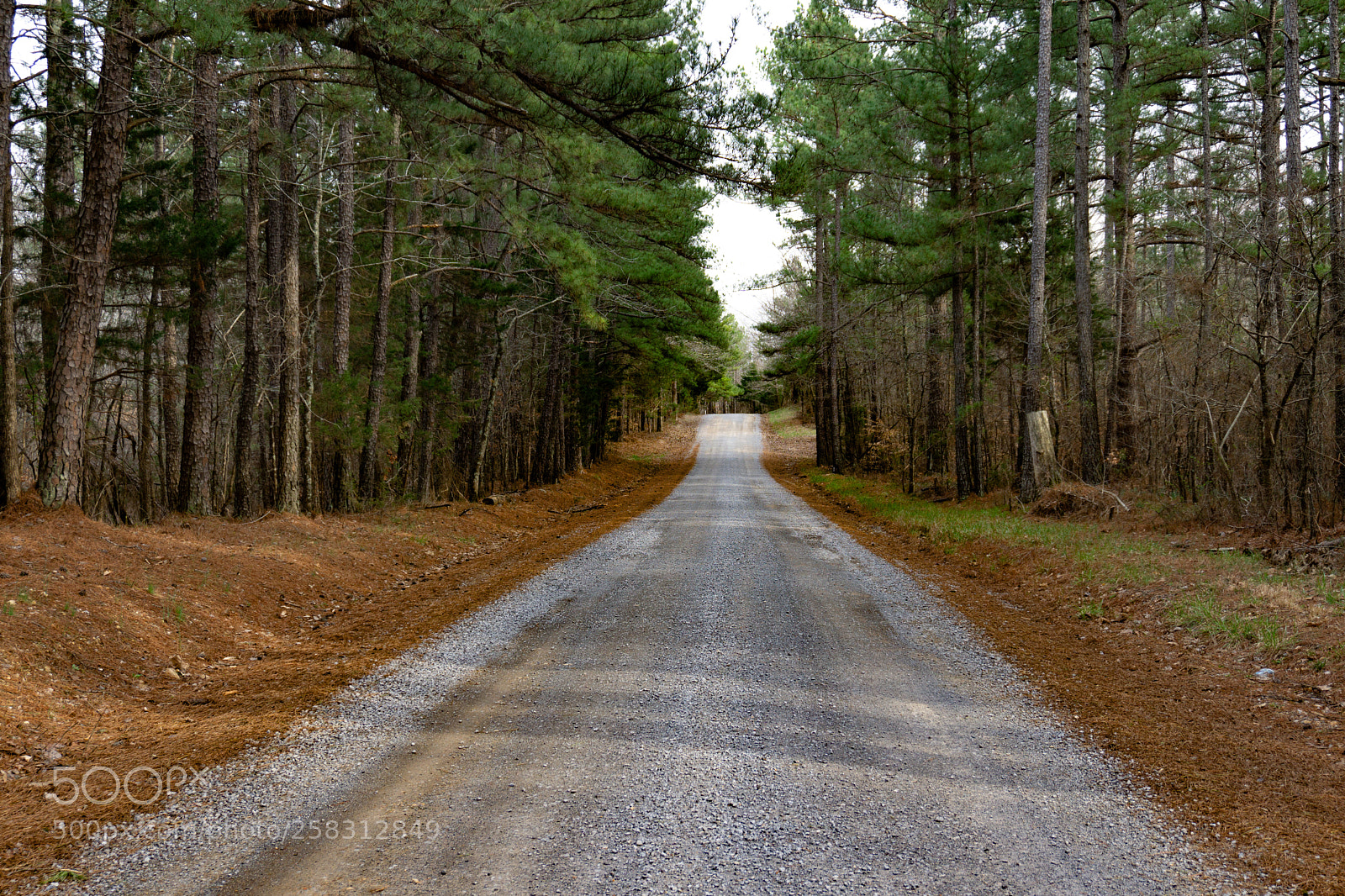 Sony a6000 sample photo. Take me home photography
