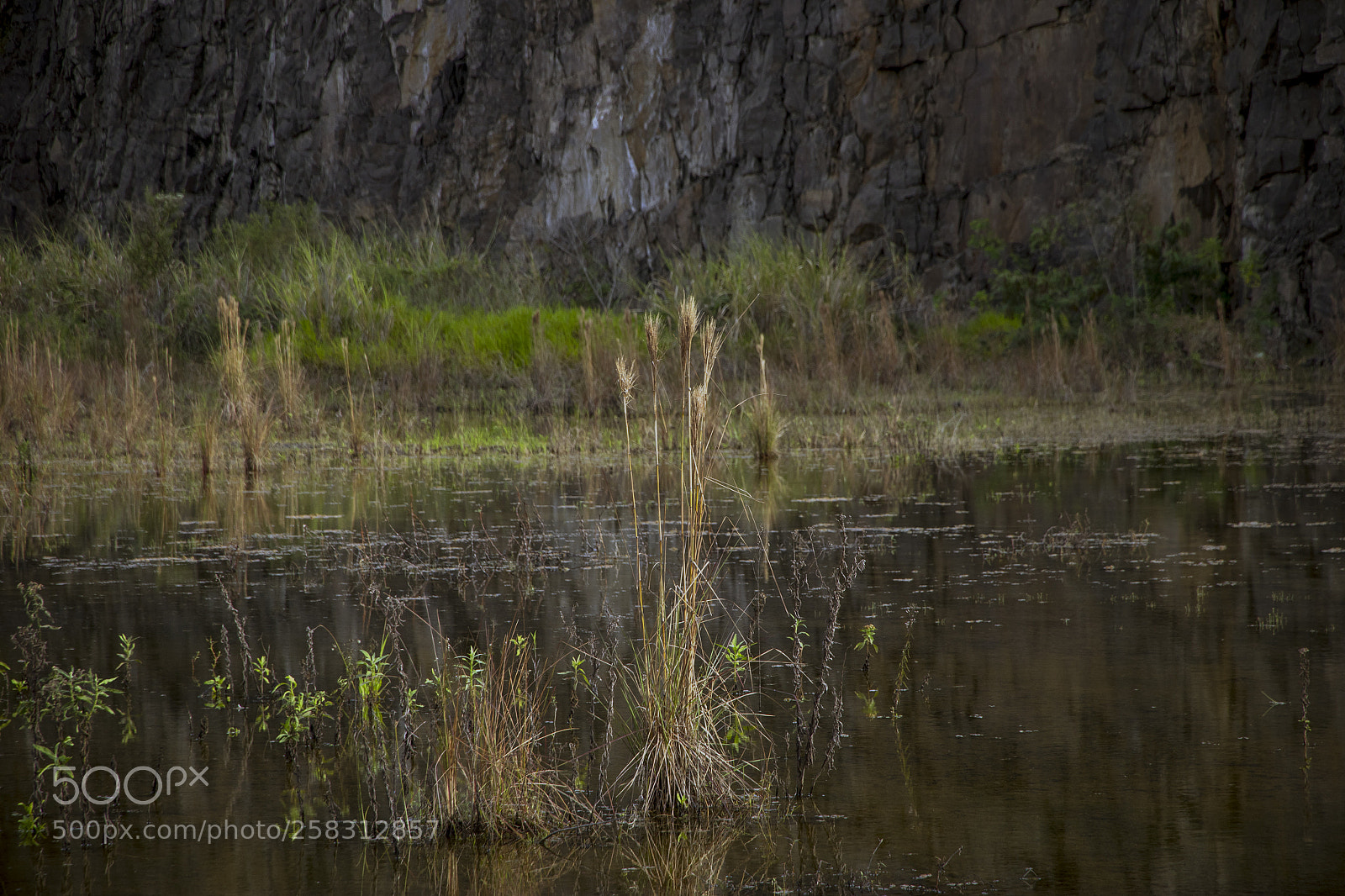 Canon EOS 80D sample photo. Lago da pedreira photography