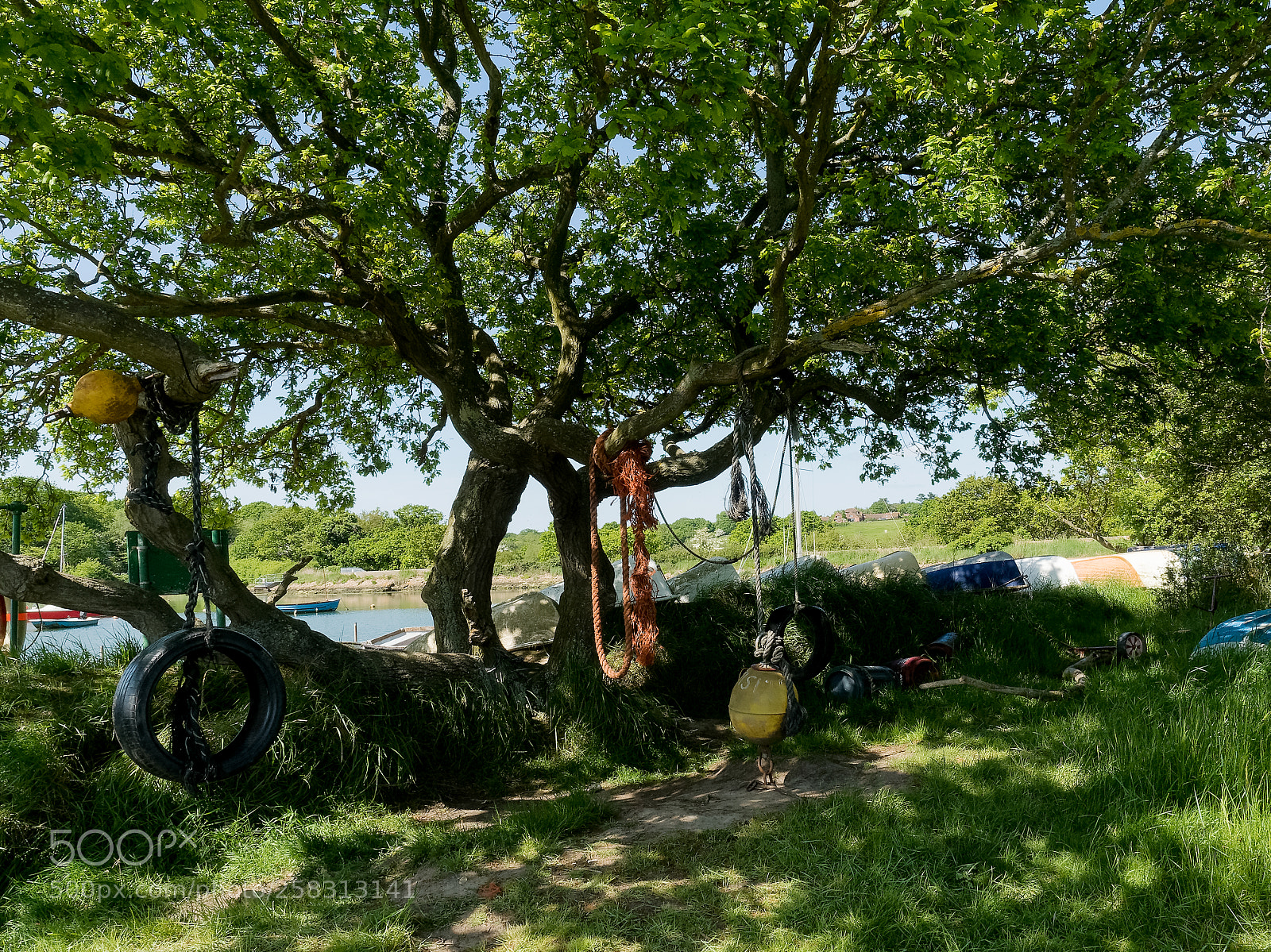 Olympus OM-D E-M5 II sample photo. Under the tree (2 of 2) photography