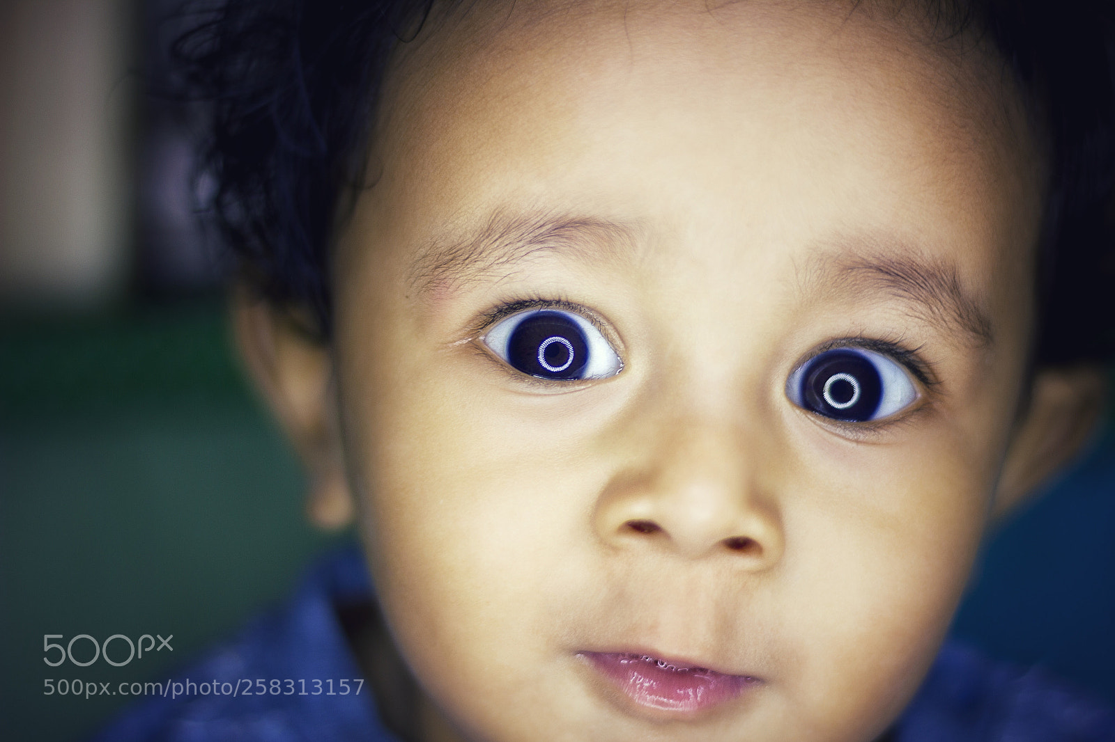 Canon EOS 550D (EOS Rebel T2i / EOS Kiss X4) sample photo. Glowing eyes photography