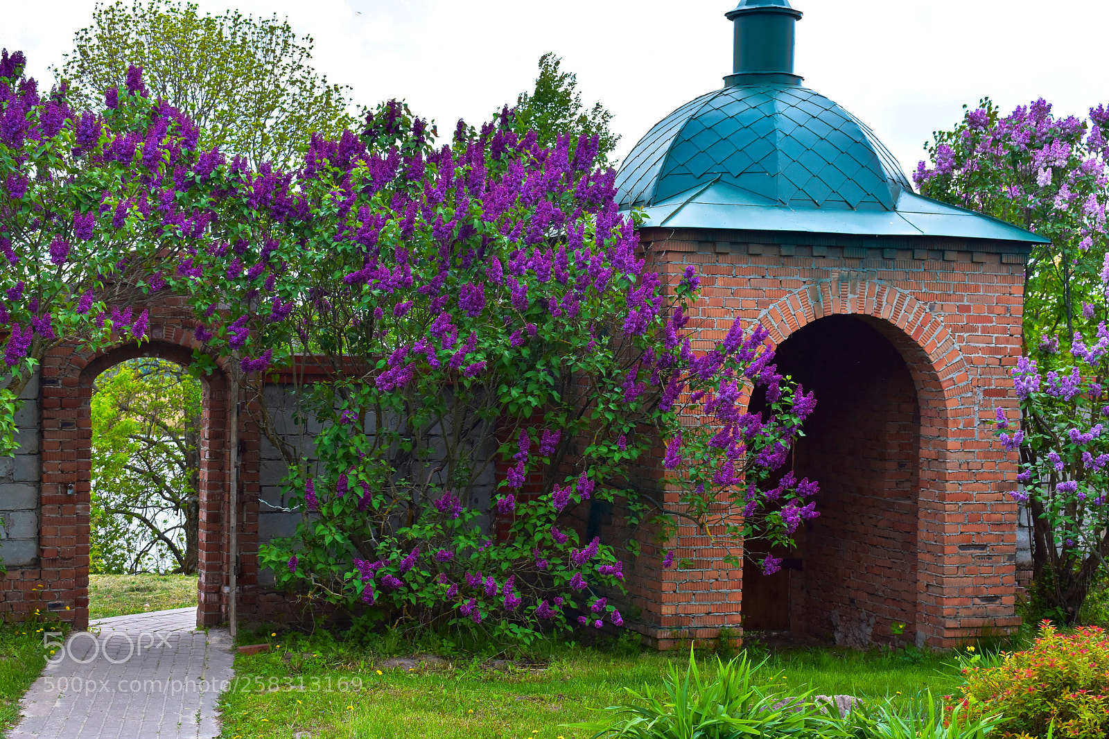 Nikon D3400 sample photo. Holy chapel in flowers. photography
