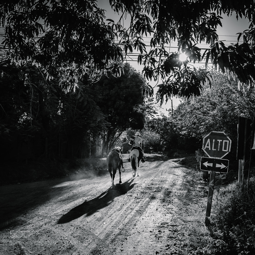 Fujifilm X-T10 sample photo. Costa rica | b&w | 1 photography