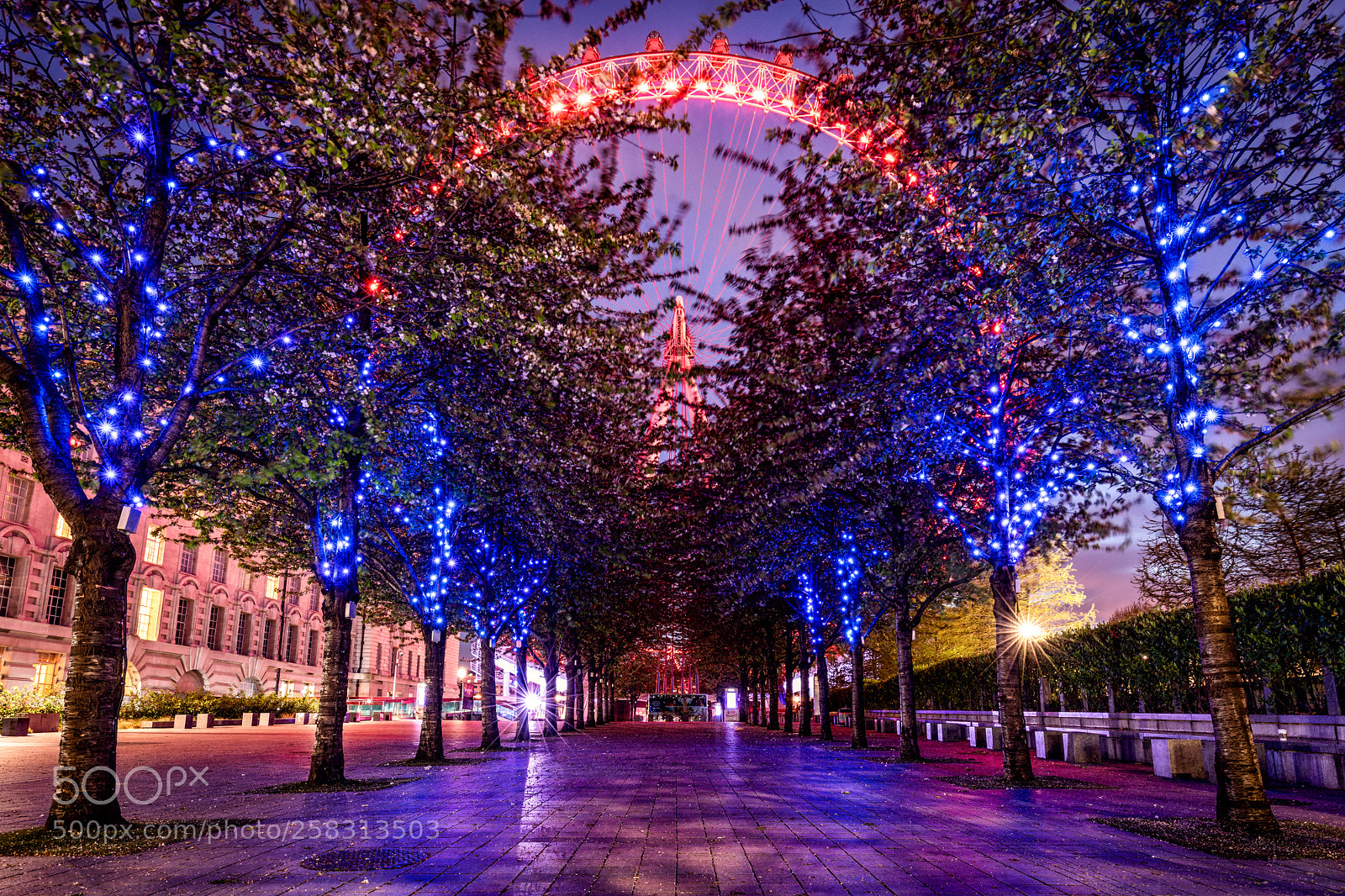 Canon EOS 5D Mark IV sample photo. London eye photography