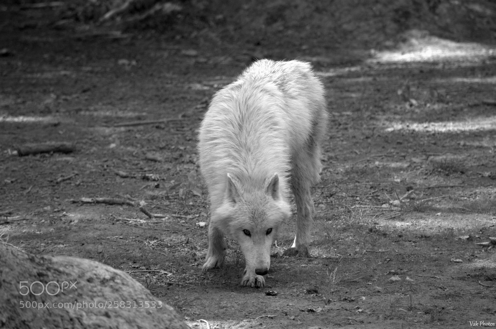 Nikon D3100 sample photo. Reverence photography