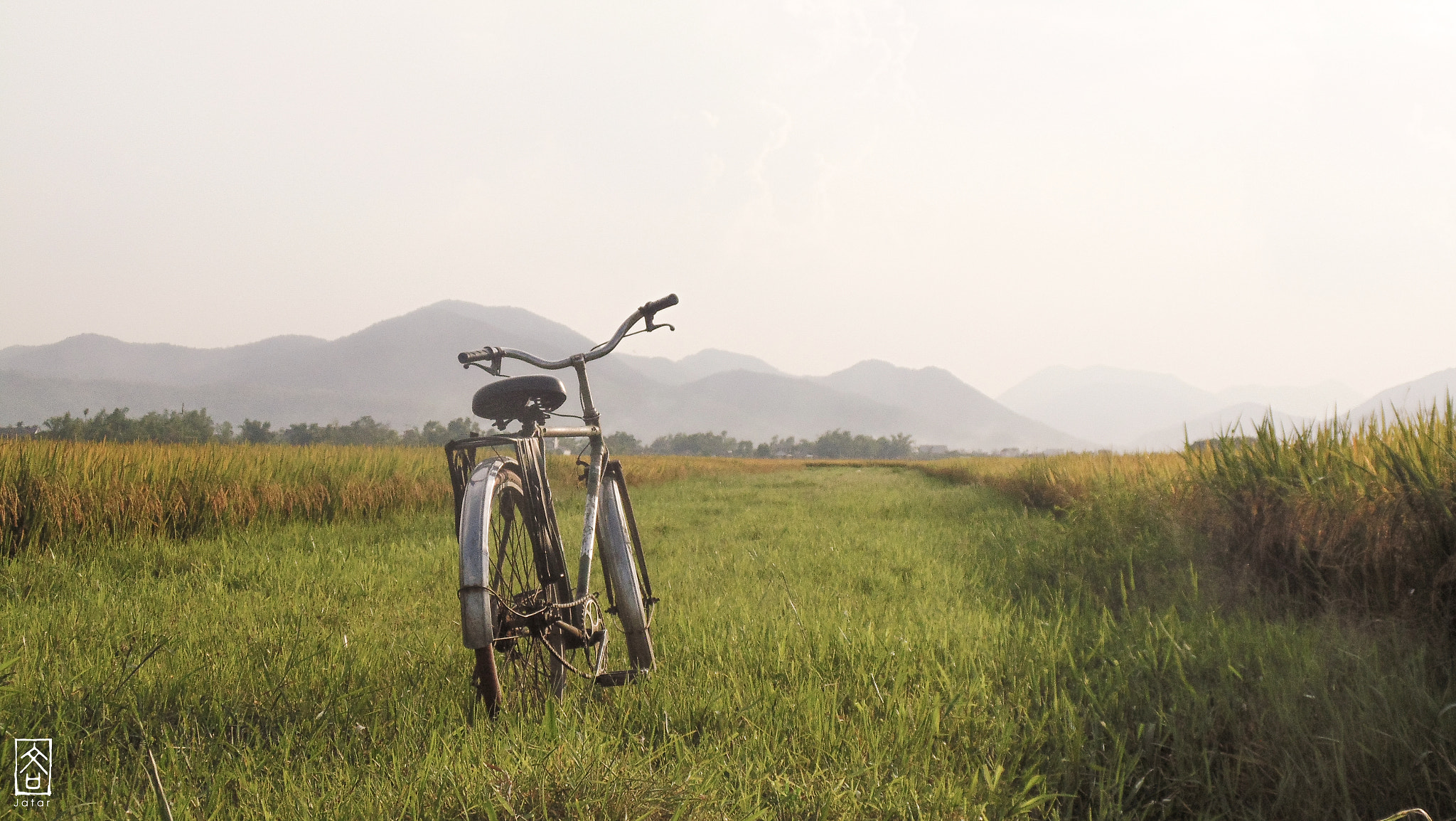 Sony Cyber-shot DSC-H200 sample photo. Vietnam bike at field photography