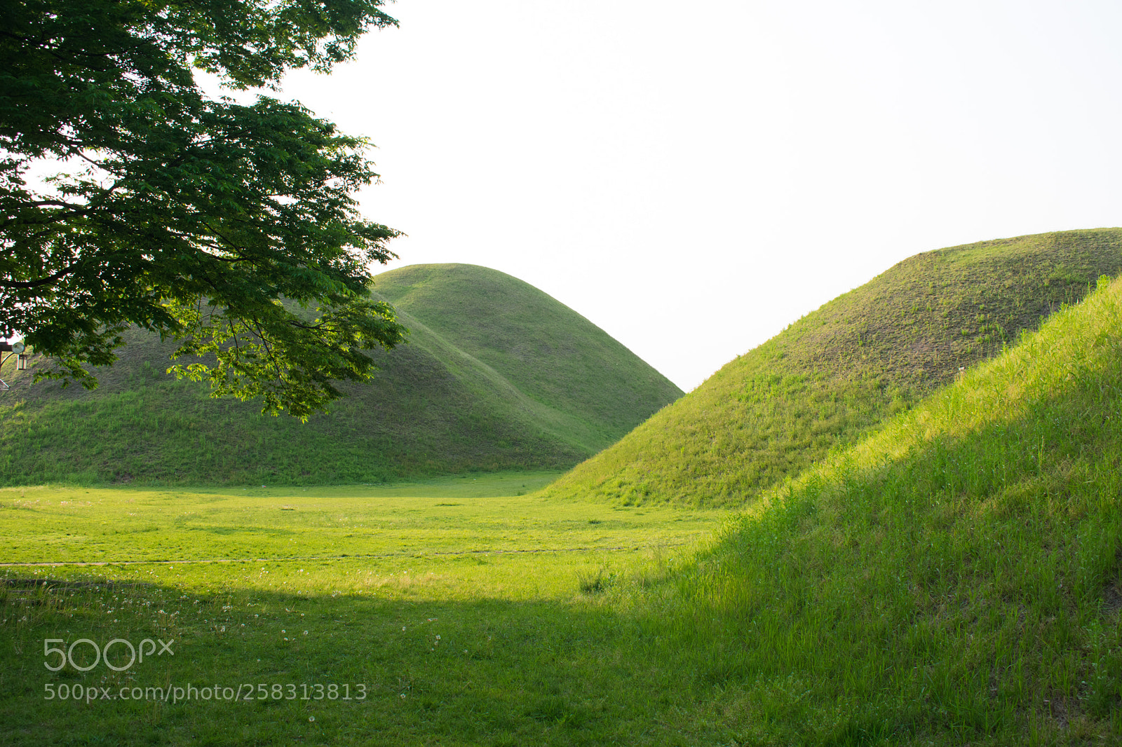 Nikon D3400 sample photo. Gyeongju burial tombs photography