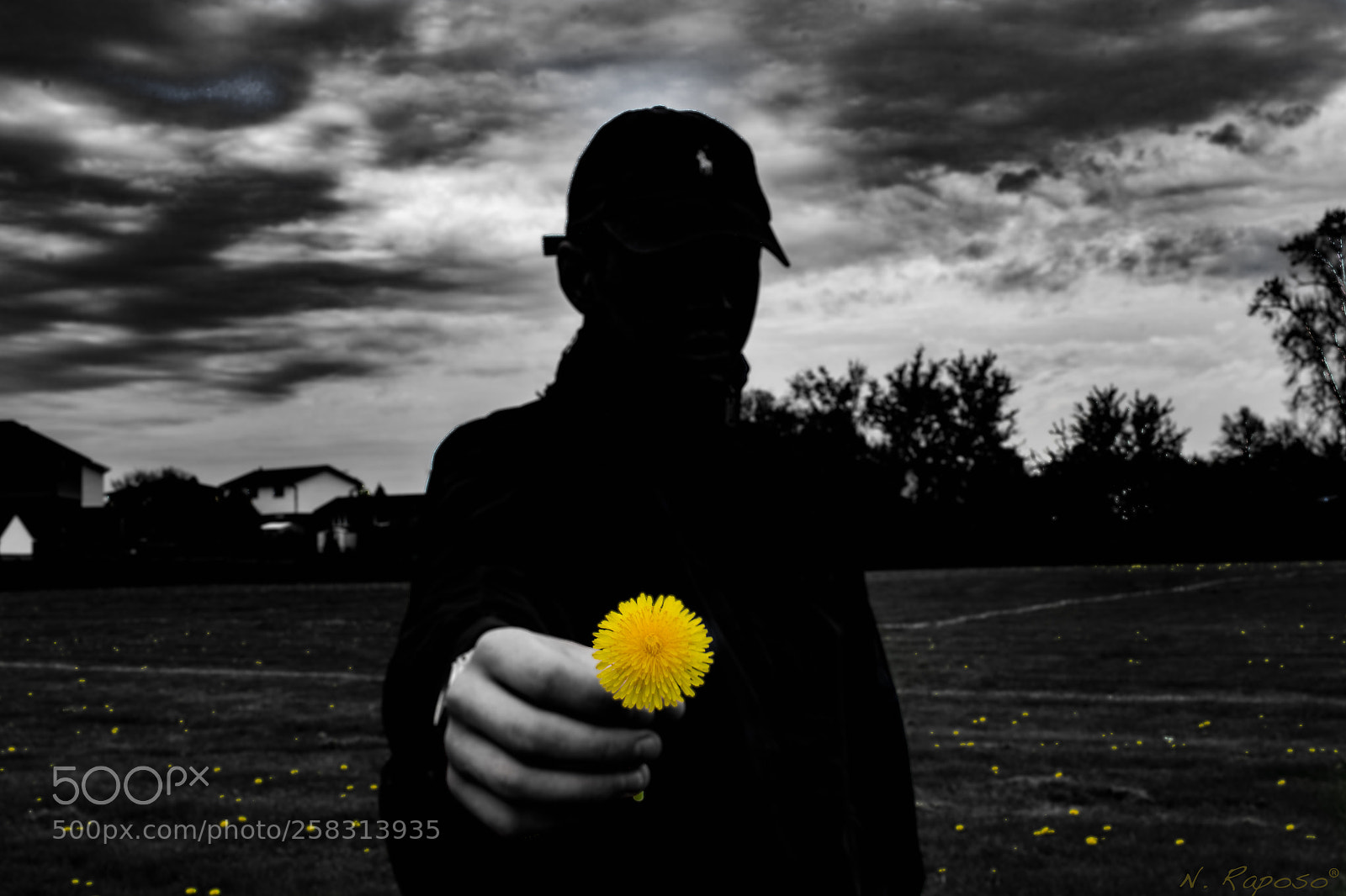 Nikon D3100 sample photo. Shadows photography