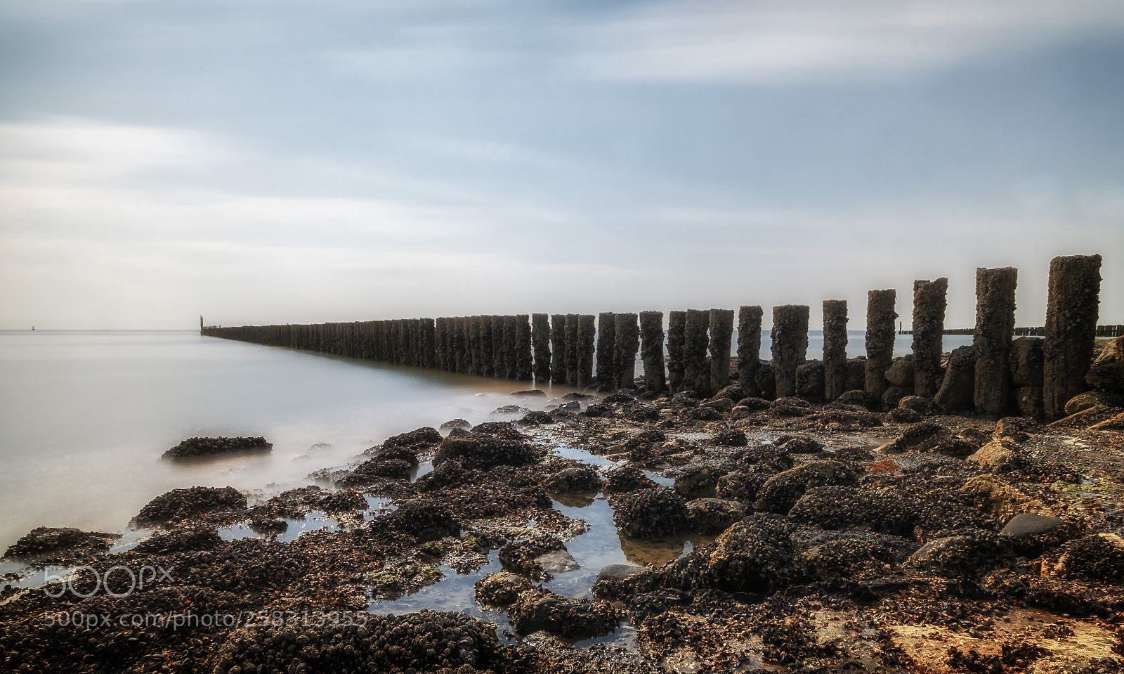 Sony a7 II sample photo. Dutch coast photography
