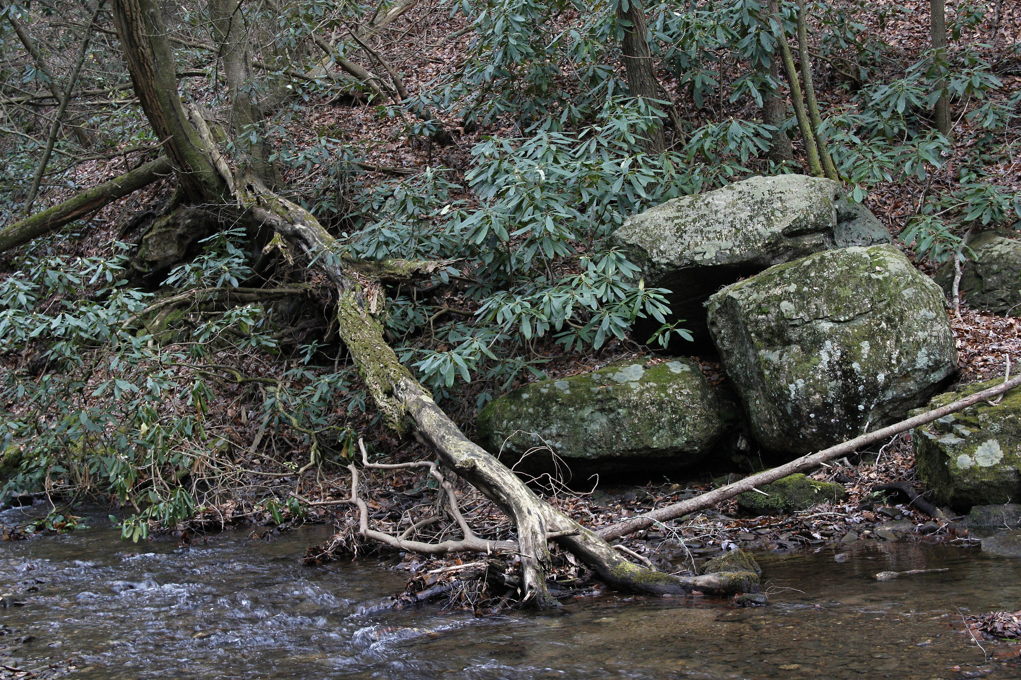 Sigma 18-125mm F3.8-5.6 DC OS HSM sample photo. Bolders beside creek zoner photography