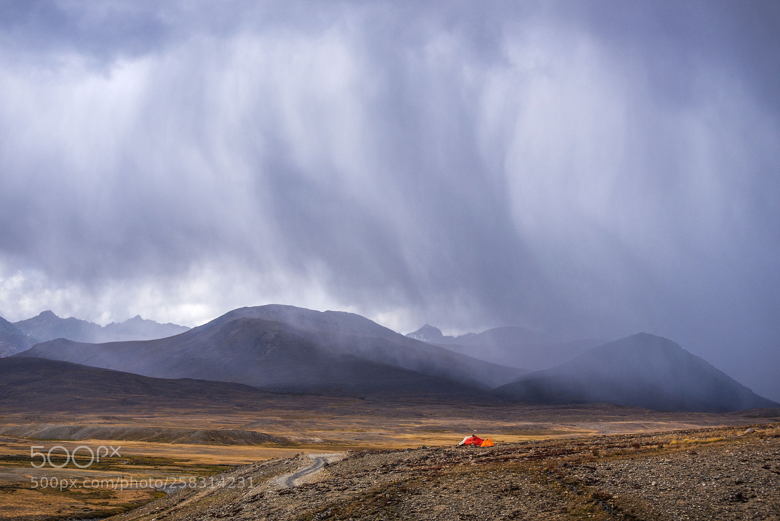Nikon D750 sample photo. Into the storm photography