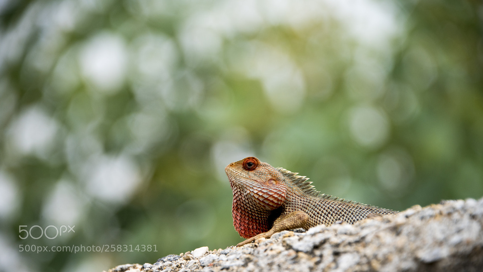 Nikon D750 sample photo. What's up ?? photography