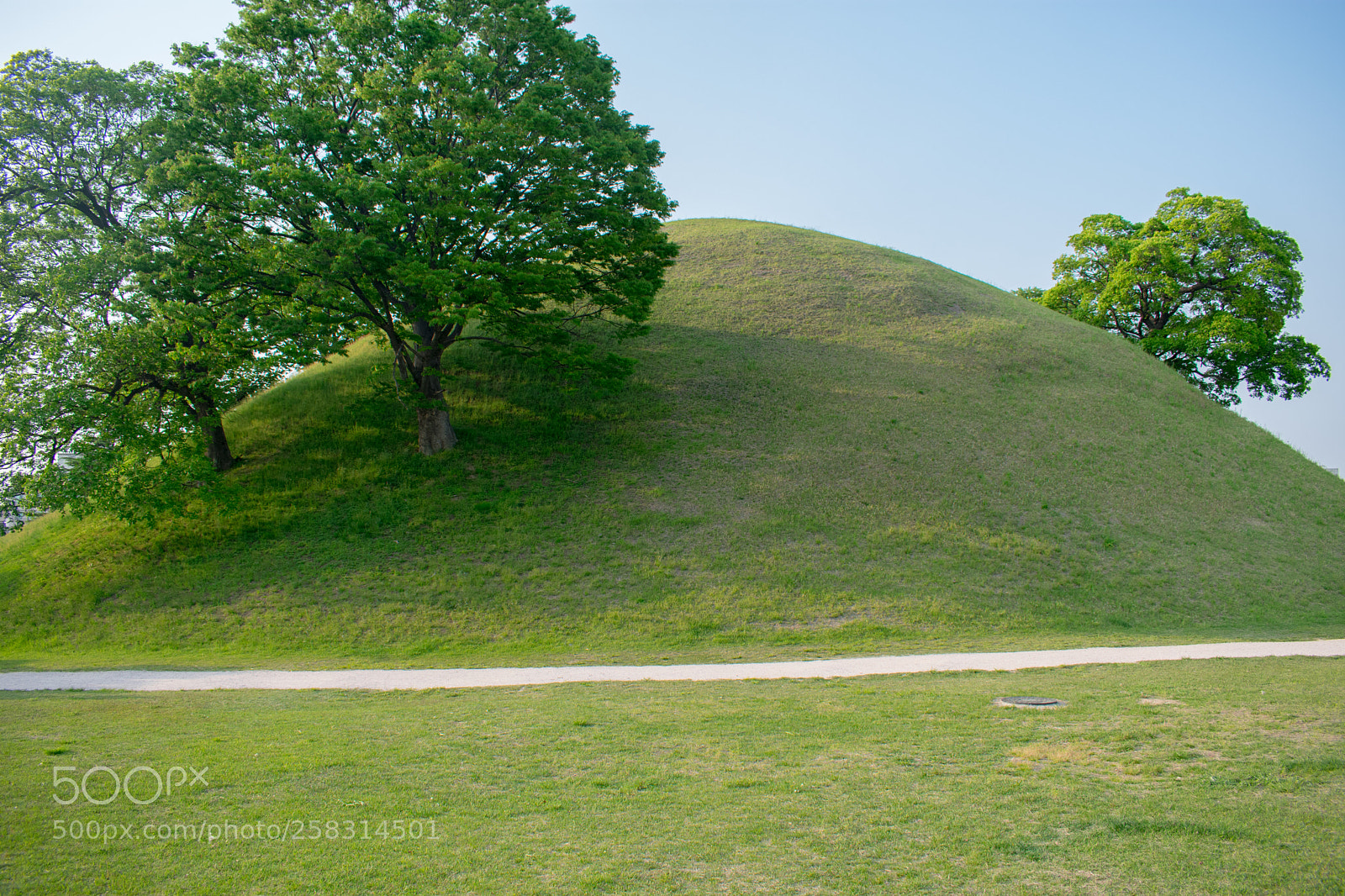 Nikon D3400 sample photo. Gyeongju burial tombs photography