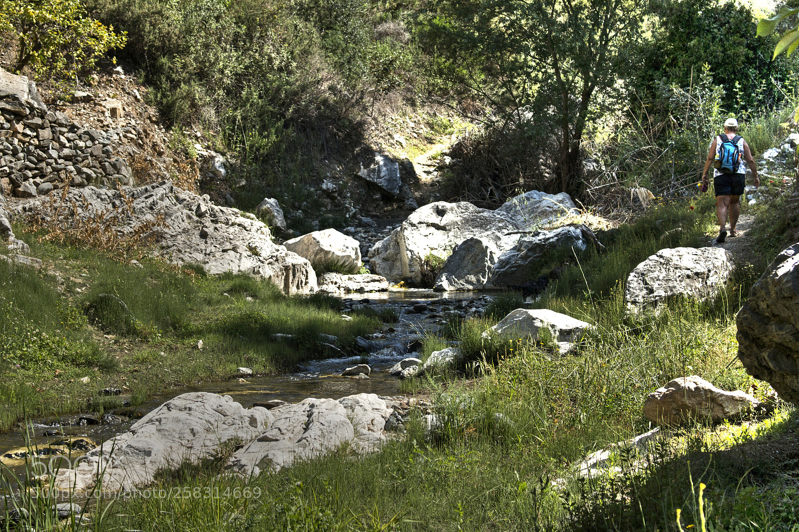 Canon EOS 70D sample photo. Walk axarquia photography