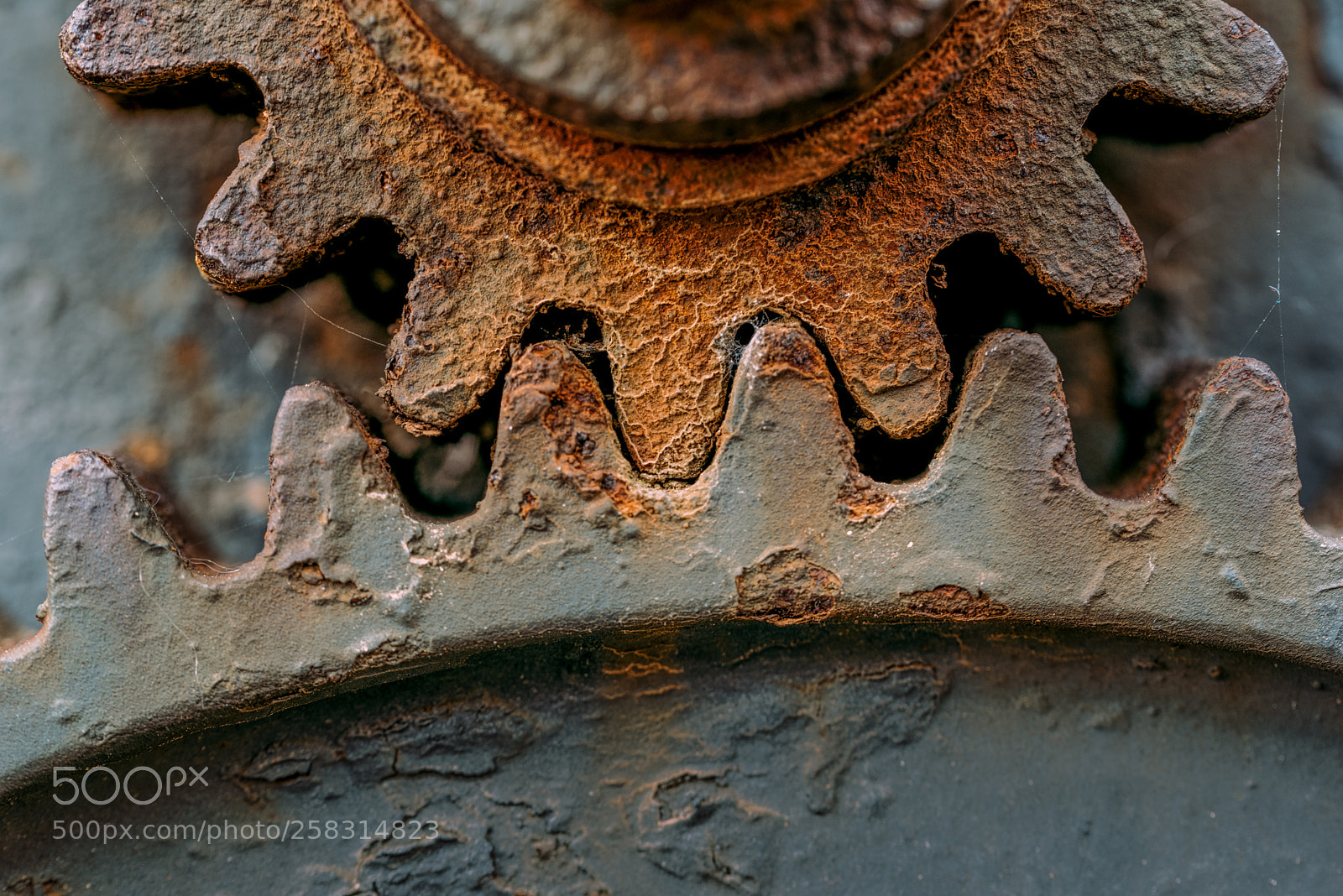 Nikon D750 sample photo. Encaje - fitting photography