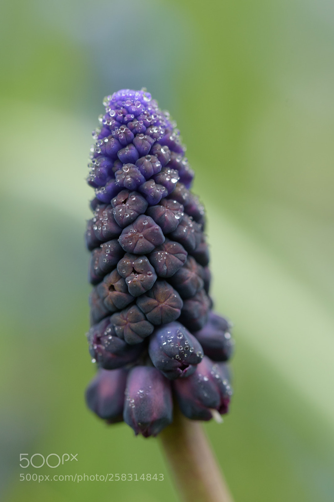 Nikon D5500 sample photo. It's gonna take patience photography