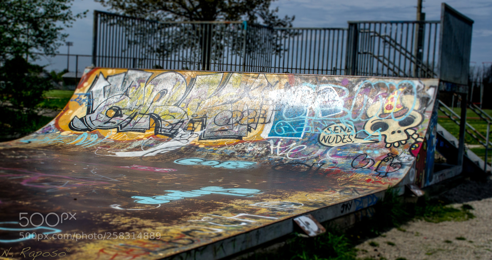 Nikon D3100 sample photo. High contrast photography