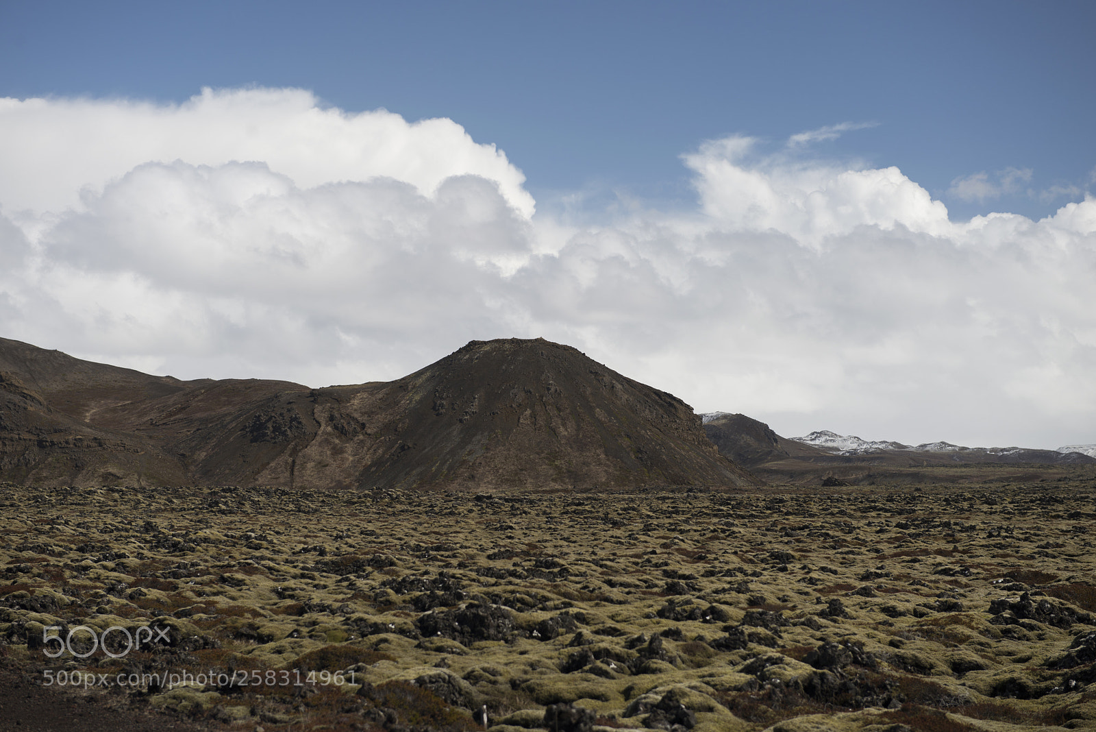 Nikon D610 sample photo. Lava field (katlahraun) photography
