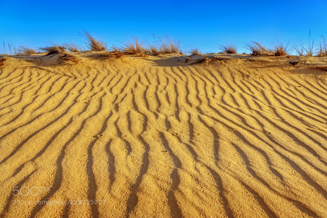 Canon EOS 600D (Rebel EOS T3i / EOS Kiss X5) sample photo. Sand waves photography