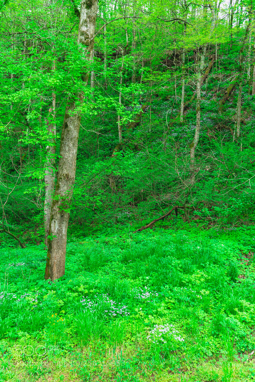 Sony a6000 sample photo. A quiet place photography