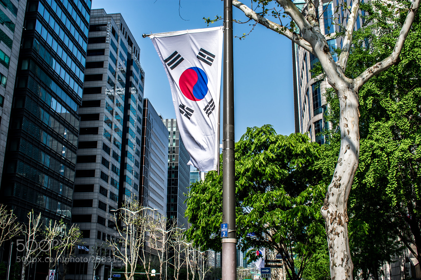Nikon D3400 sample photo. Rok flag flying in photography