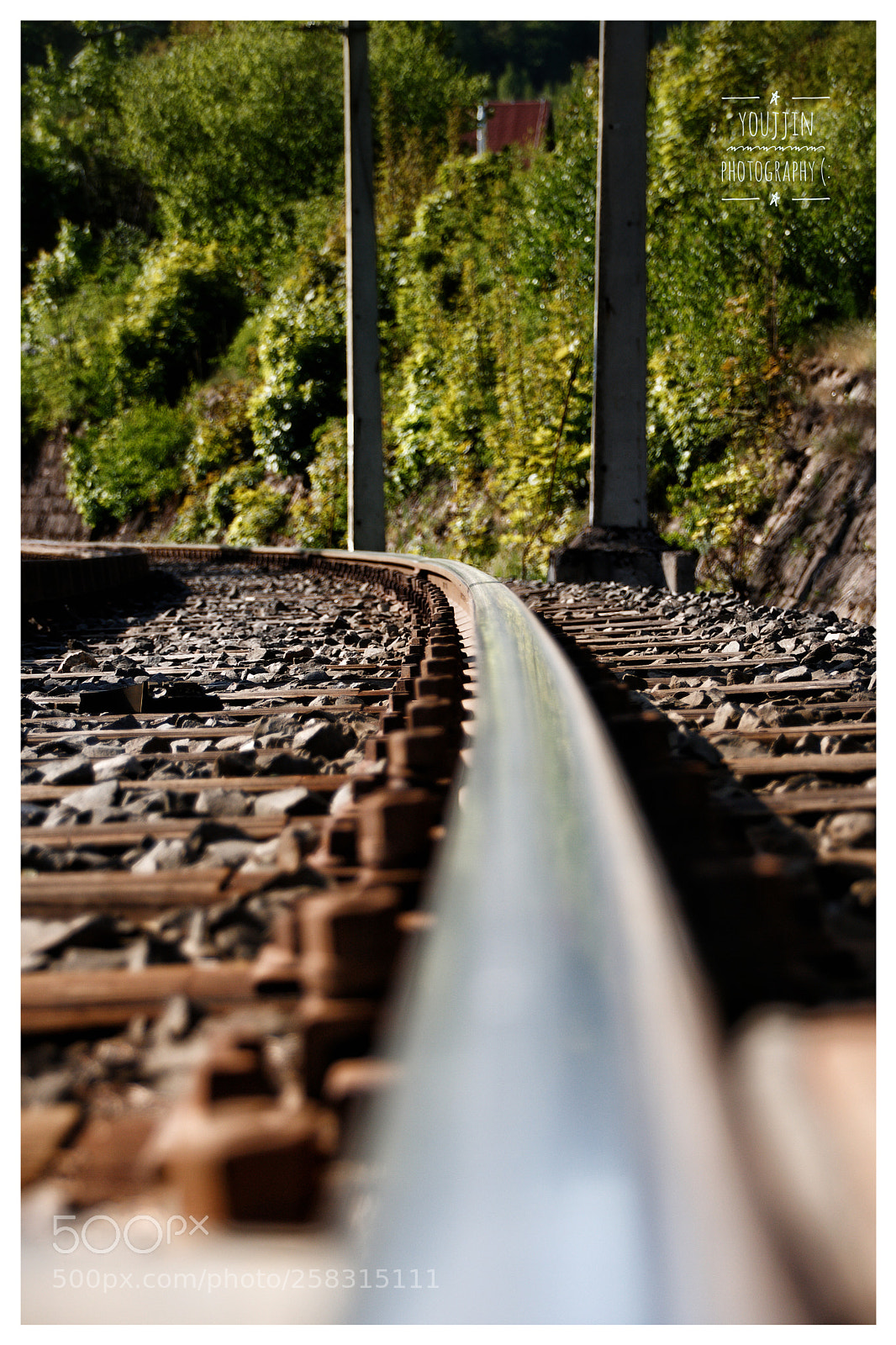 Canon EOS 760D (EOS Rebel T6s / EOS 8000D) sample photo. Railtrain photography