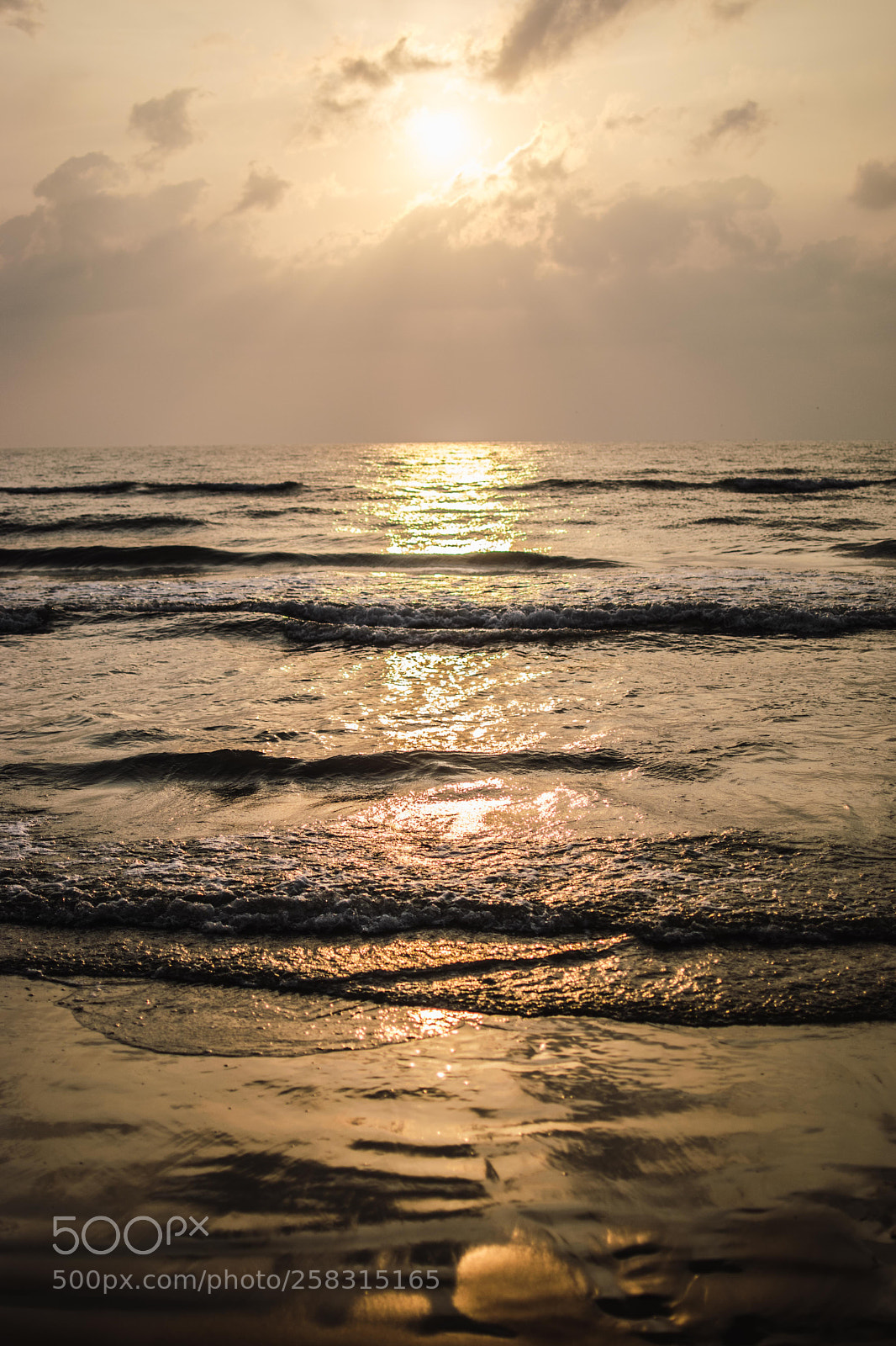 Nikon D3300 sample photo. Morning rays photography