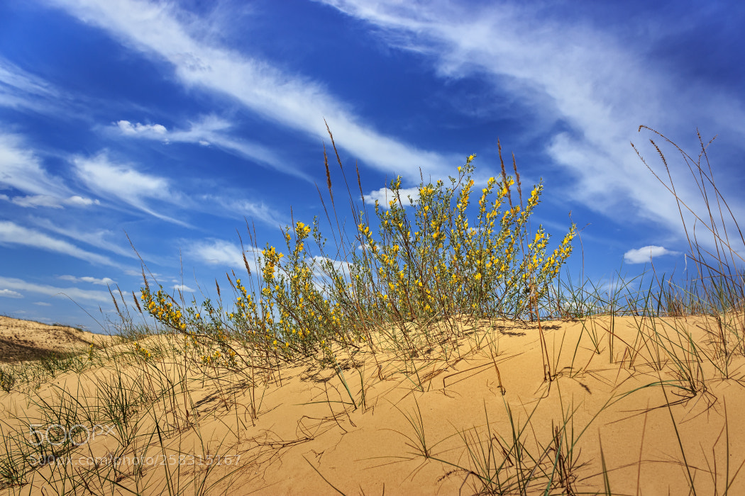 Canon EOS 600D (Rebel EOS T3i / EOS Kiss X5) sample photo. Between heaven and earth photography