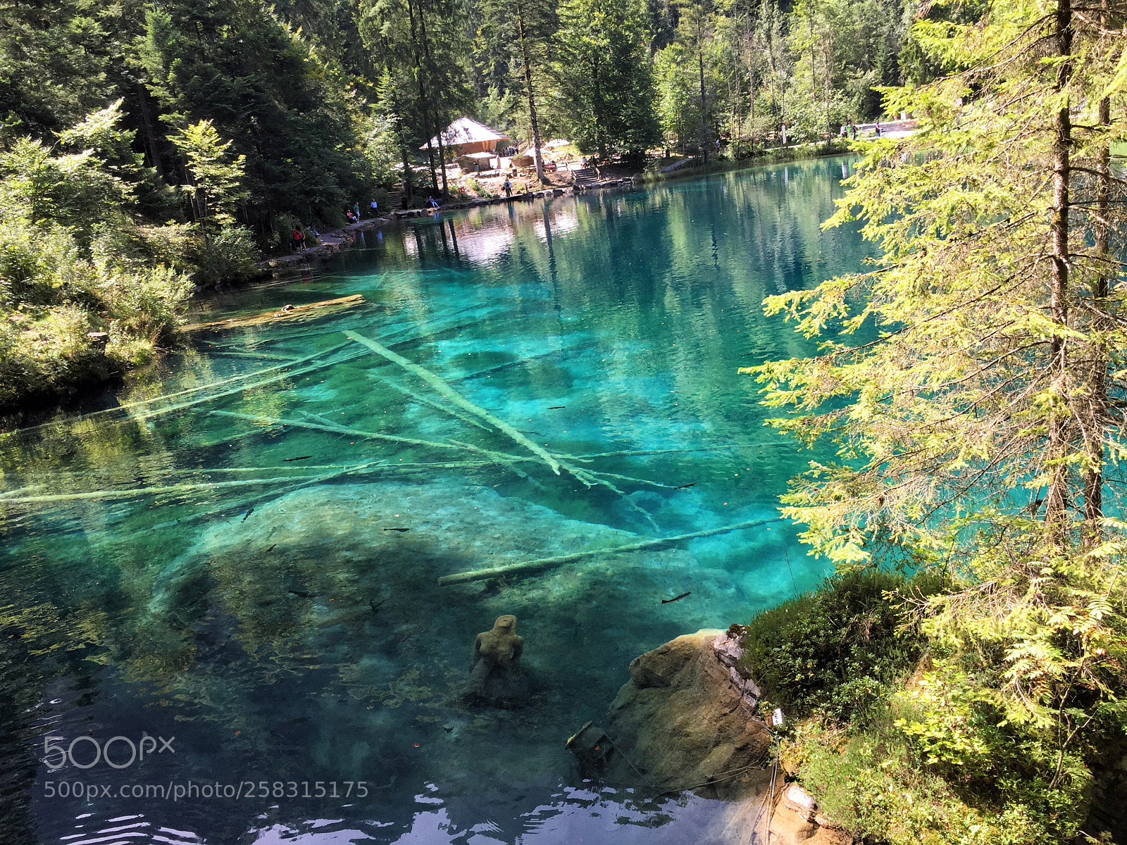 Apple iPhone 6 sample photo. Inthewater blausee photography