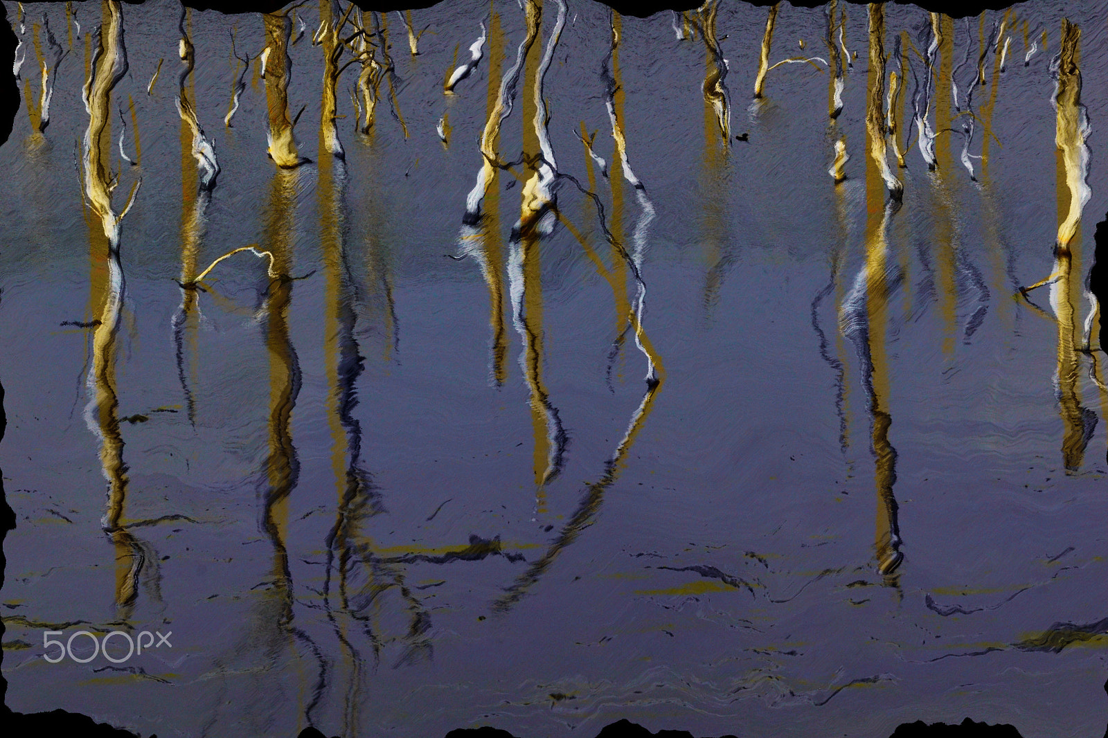 Sony SLT-A68 + Tamron Lens (255) sample photo. Abstract composition " trees and reflections" photography