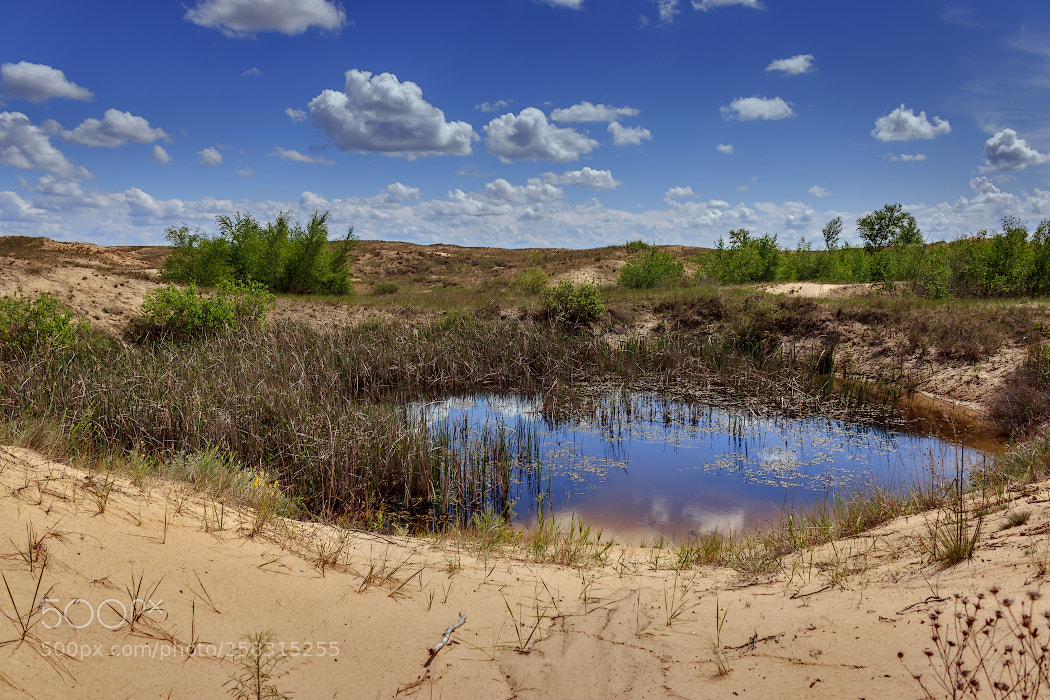 Canon EOS 600D (Rebel EOS T3i / EOS Kiss X5) sample photo. Oasis in the desert photography