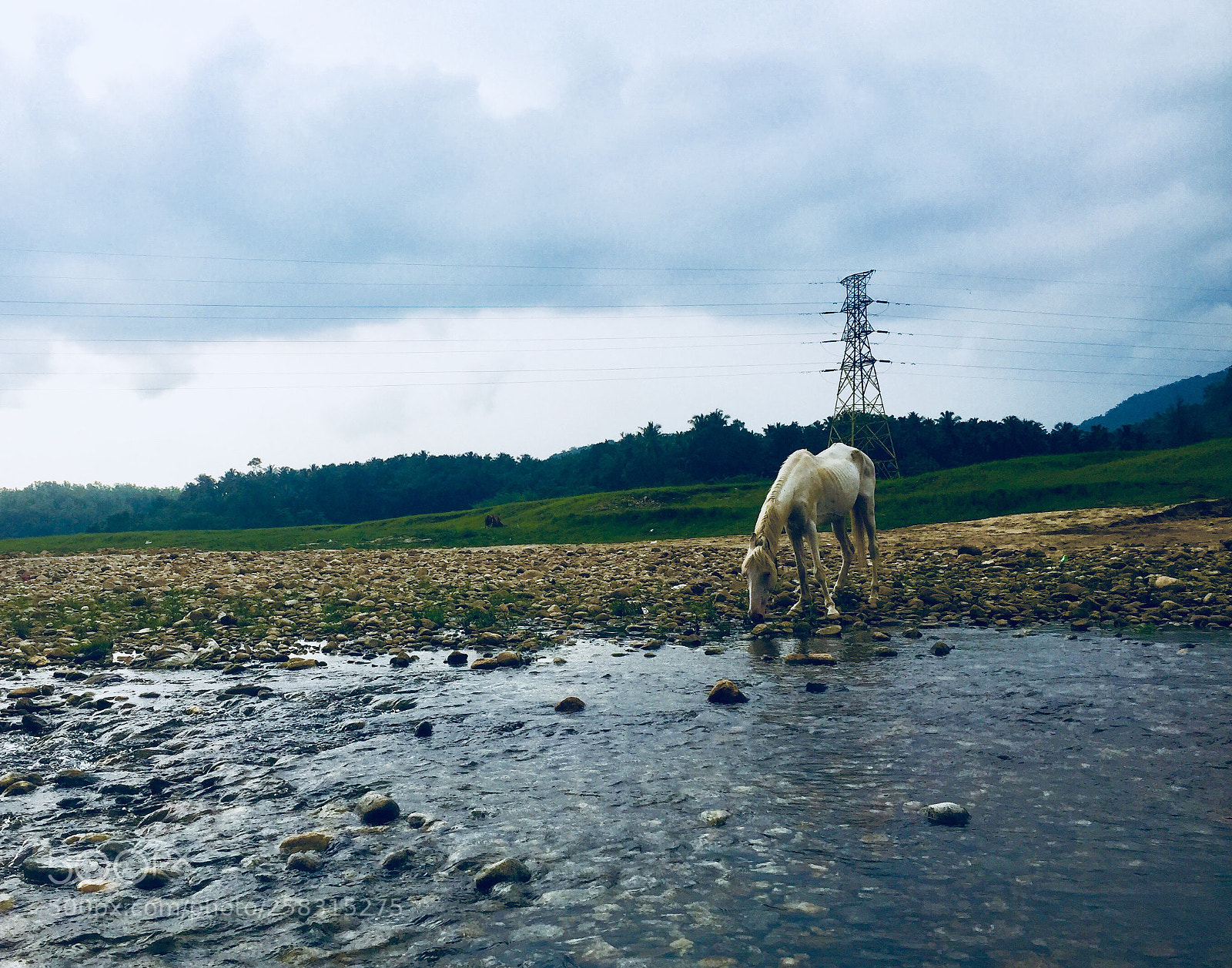 Apple iPhone 6 sample photo. Untitled photography