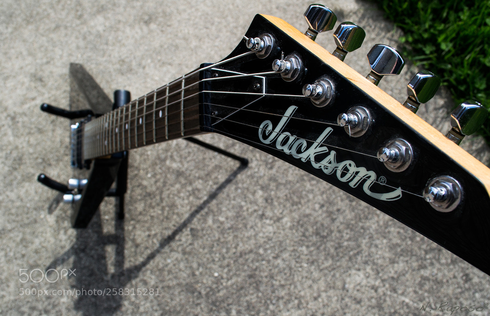 Nikon D3100 sample photo. Leading the eye photography