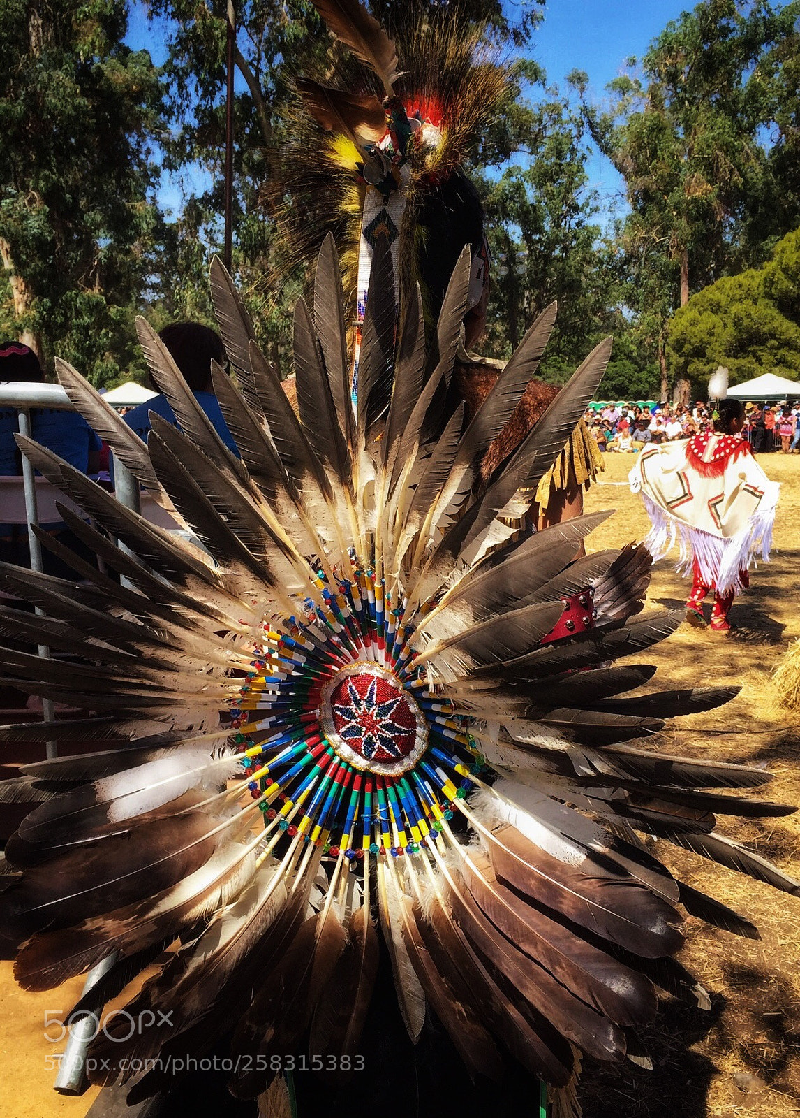 Apple iPhone 6 sample photo. Feather bustle photography